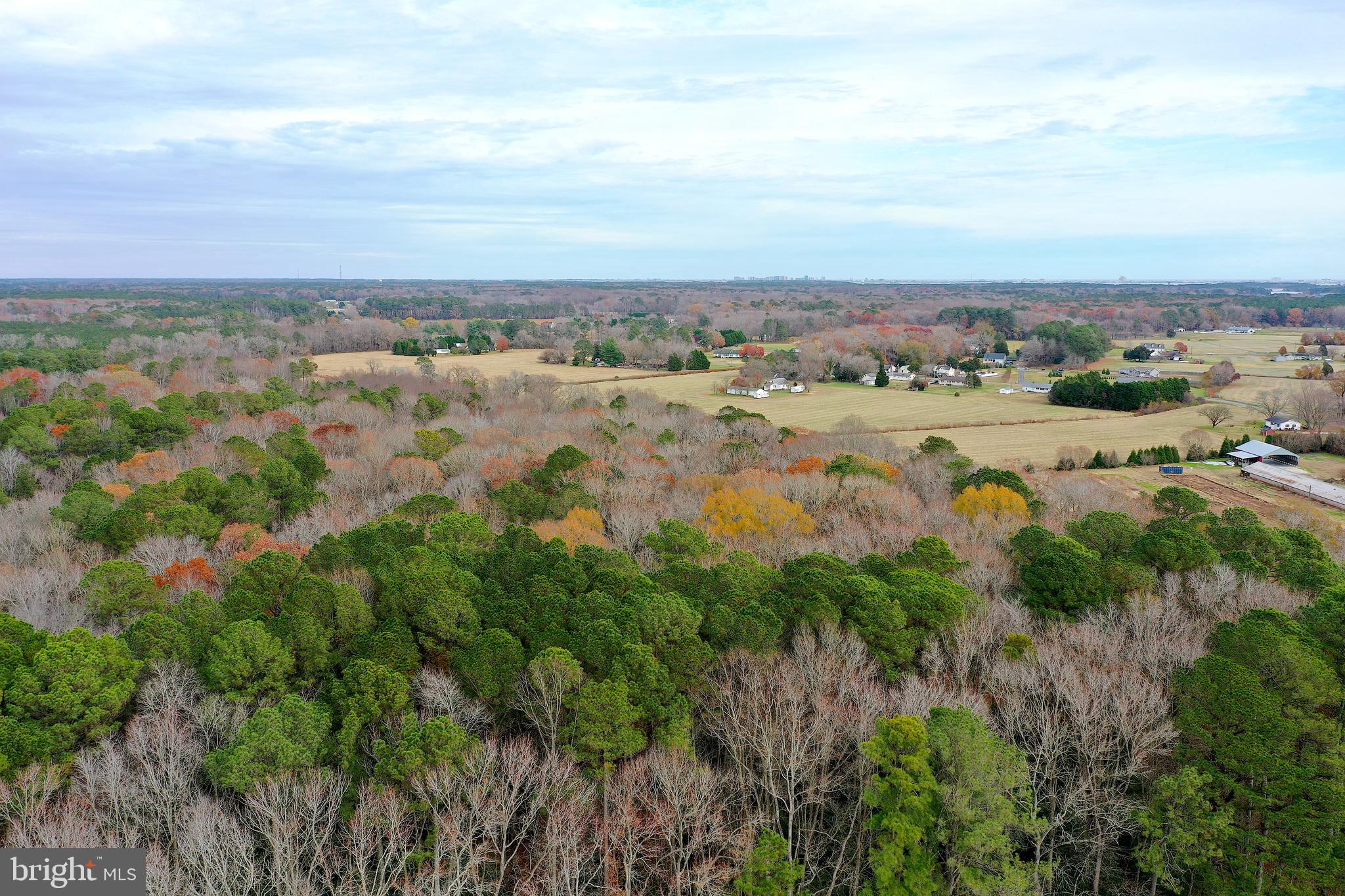 Parcel #169 Georgetown Road Berlin, MD 21811 - Photo 3 of 15
