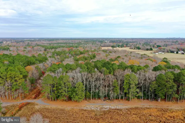 $449,900 | Parcel #169 Georgetown Road, Berlin, MD 21811