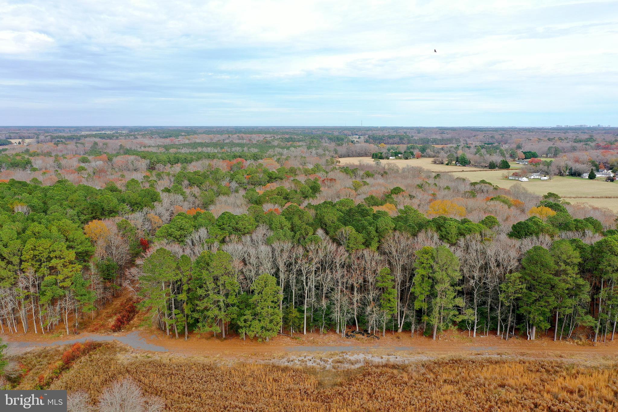 Parcel #169 Georgetown Road Berlin, MD 21811 - Photo 4 of 15
