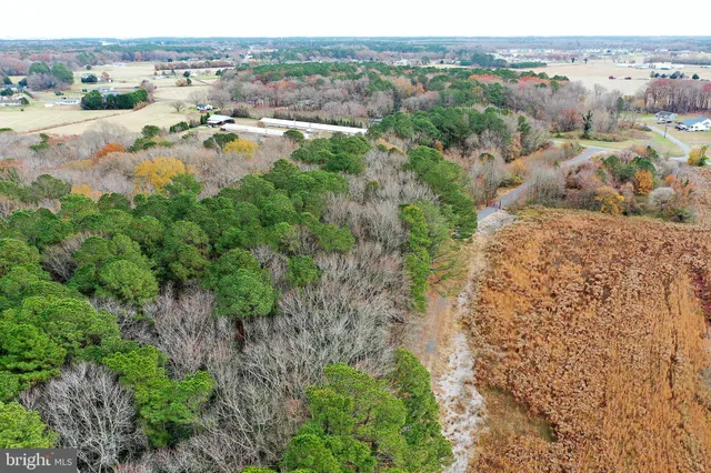 $449,900 | Parcel #169 Georgetown Road, Berlin, MD 21811