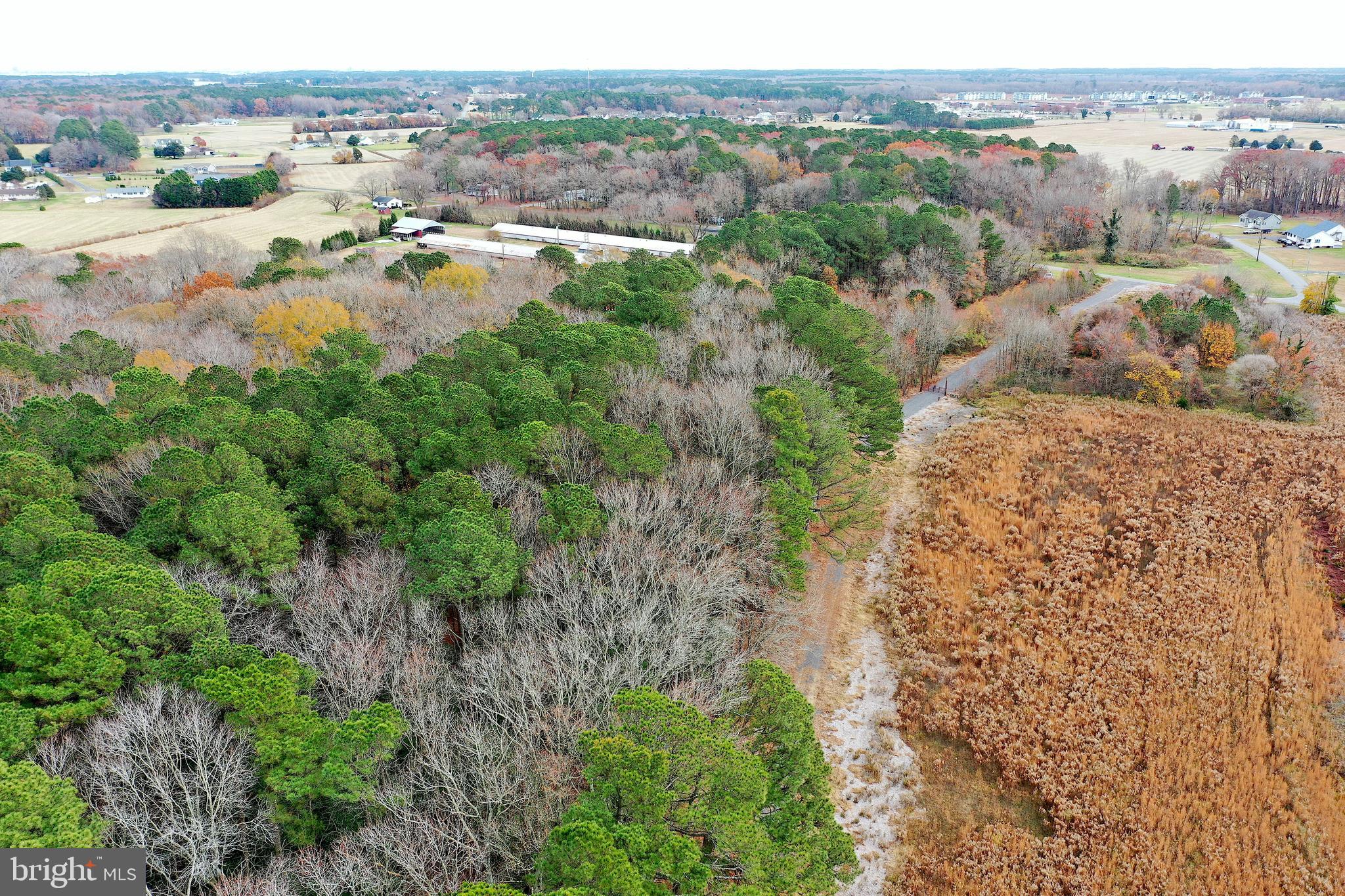 Parcel #169 Georgetown Road Berlin, MD 21811 - Photo 5 of 15