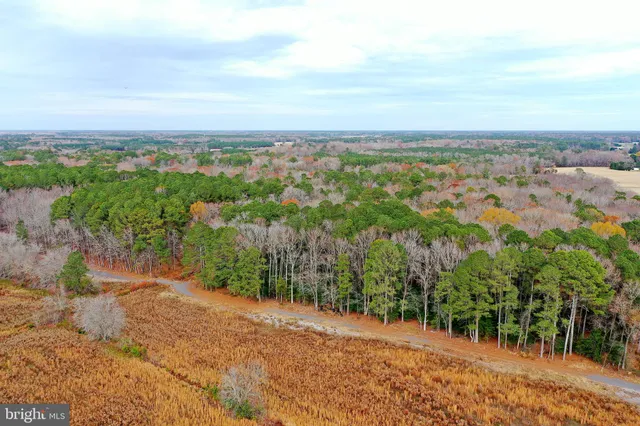 $449,900 | Parcel #169 Georgetown Road, Berlin, MD 21811