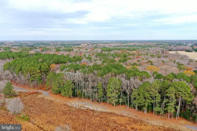 $449,900 | Parcel #169 Georgetown Road, Berlin, MD 21811