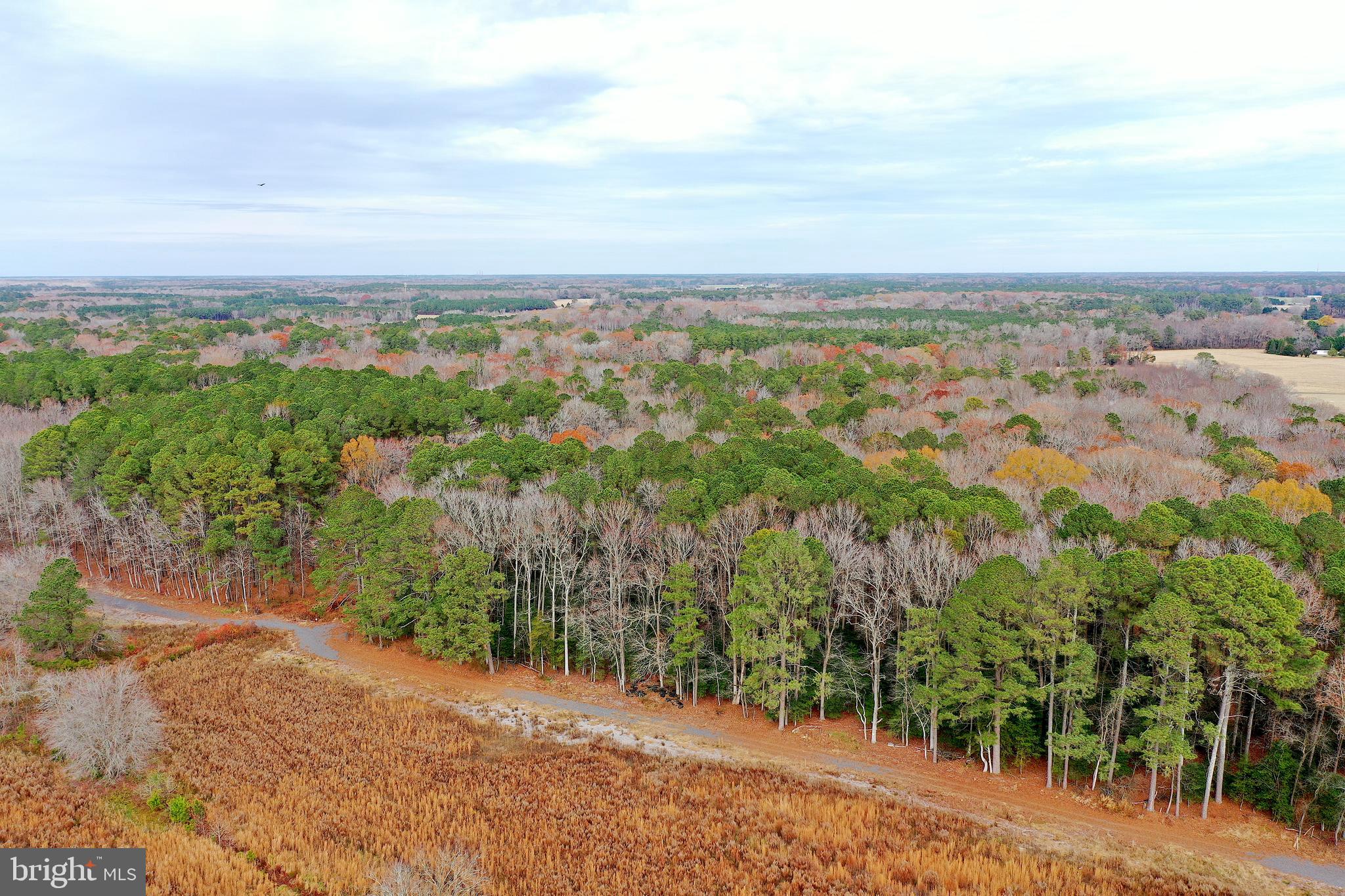 Parcel #169 Georgetown Road Berlin, MD 21811 - Photo 7 of 15