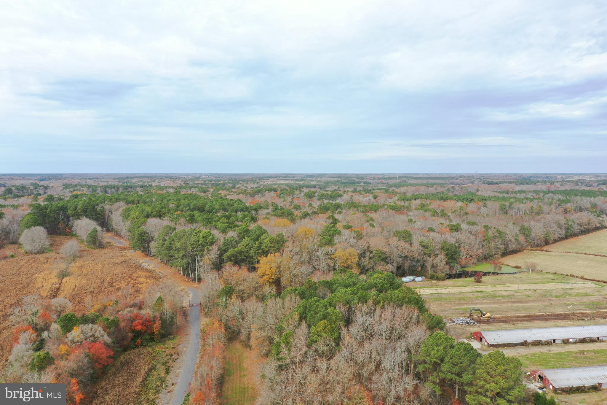 Parcel #169 Georgetown Road Berlin, MD 21811 - Photo 8 of 15