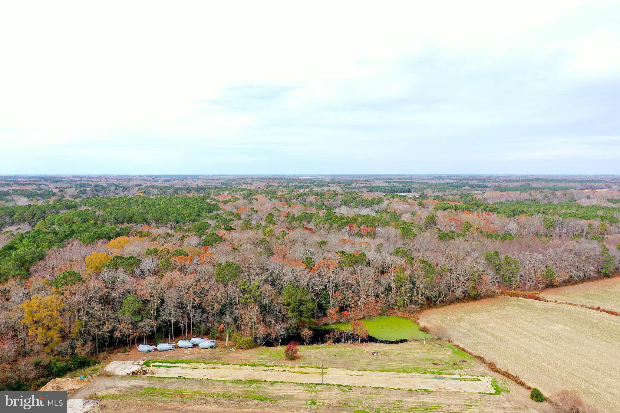 Parcel #169 Georgetown Road Berlin, MD 21811 - Photo 9 of 15