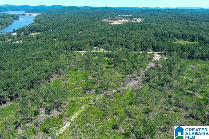 209 Harts Ferry Road, Unit 3 Ohatchee, AL 36271 - Photo 7 of 24