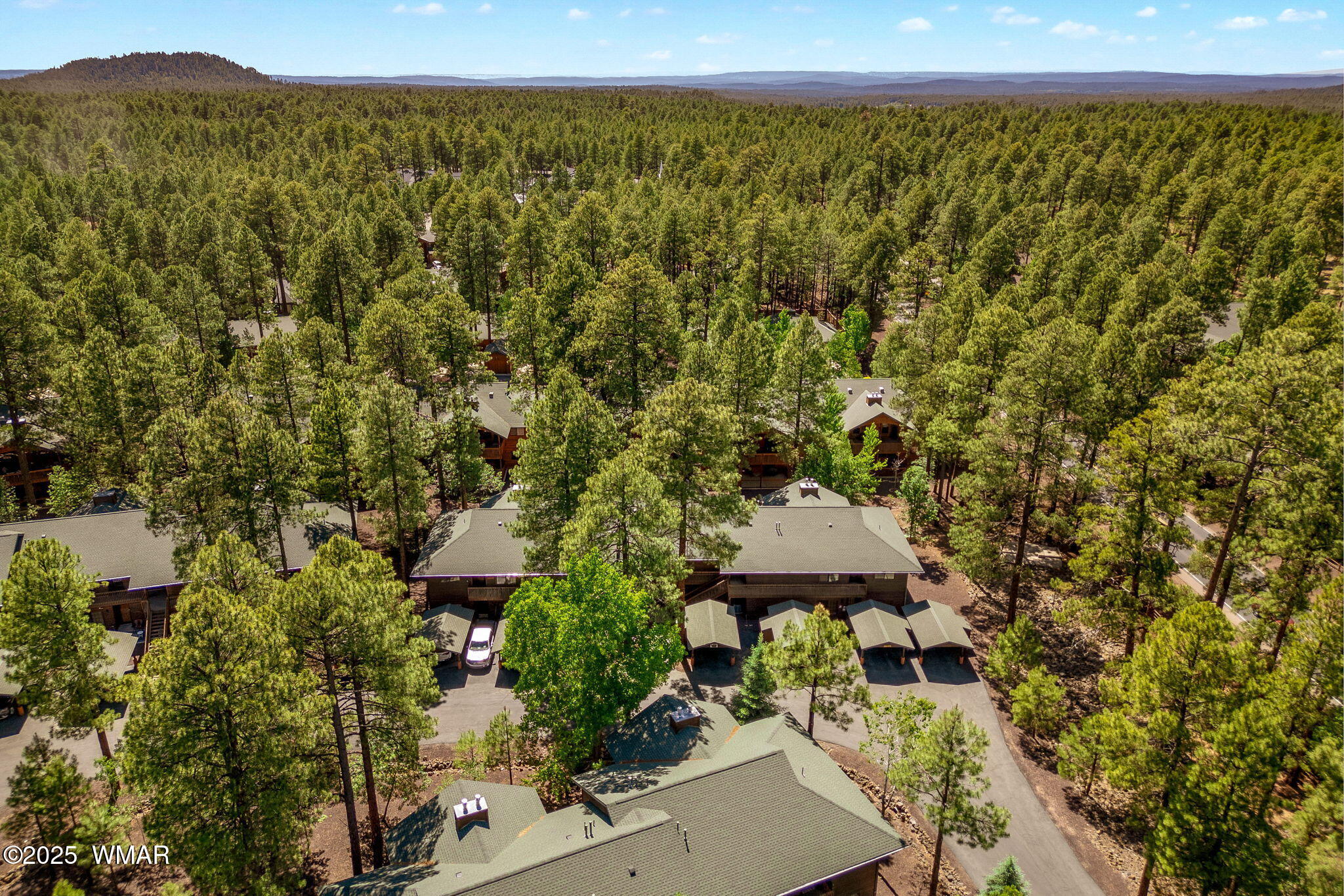 2522 Village Loop, Unit 14 Pinetop, AZ 85935 - Photo 32 of 38 Aerial