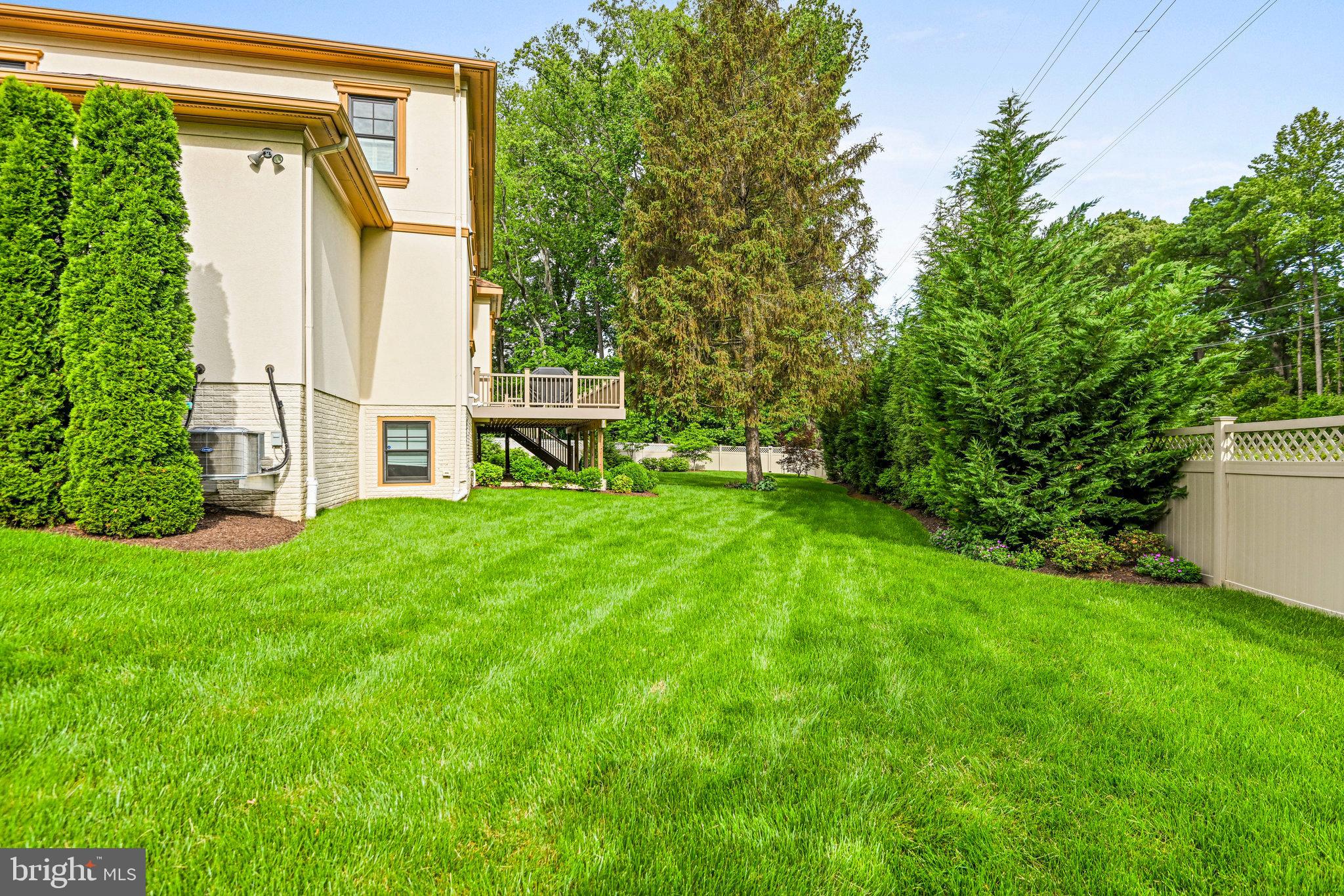 920 Ninovan Road Southeast Vienna, VA 22180 - Photo 42 of 44 a view of a backyard with plants and a large tree