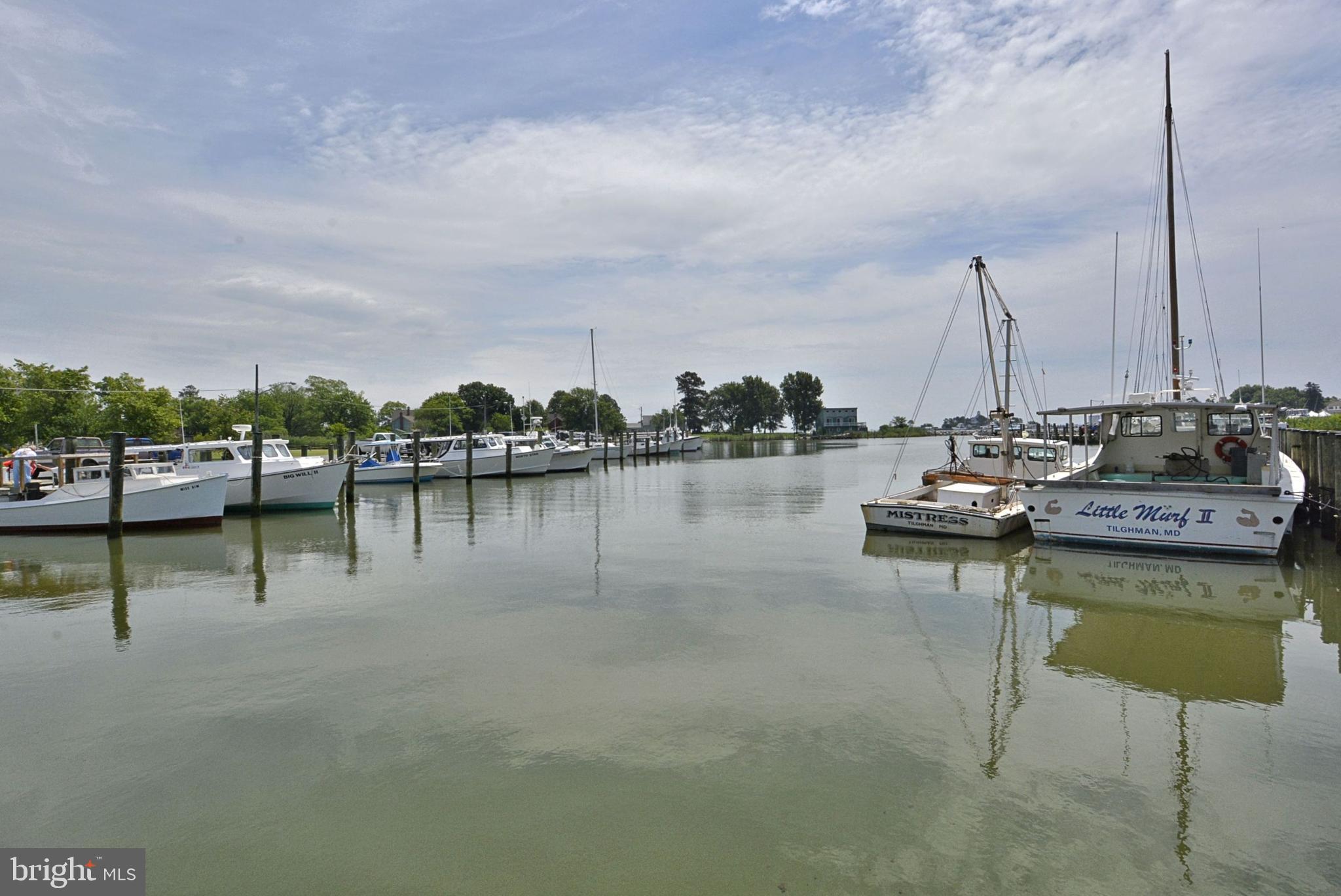 21496 Island Club Road Tilghman, MD 21671 - Photo 48 of 61 Gallery Image 48