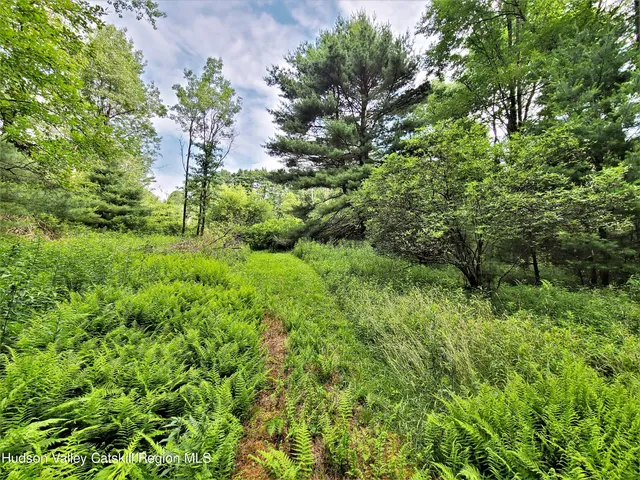 a view of a garden with a tree