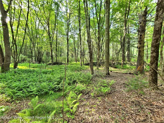 a view of outdoor space with trees all around