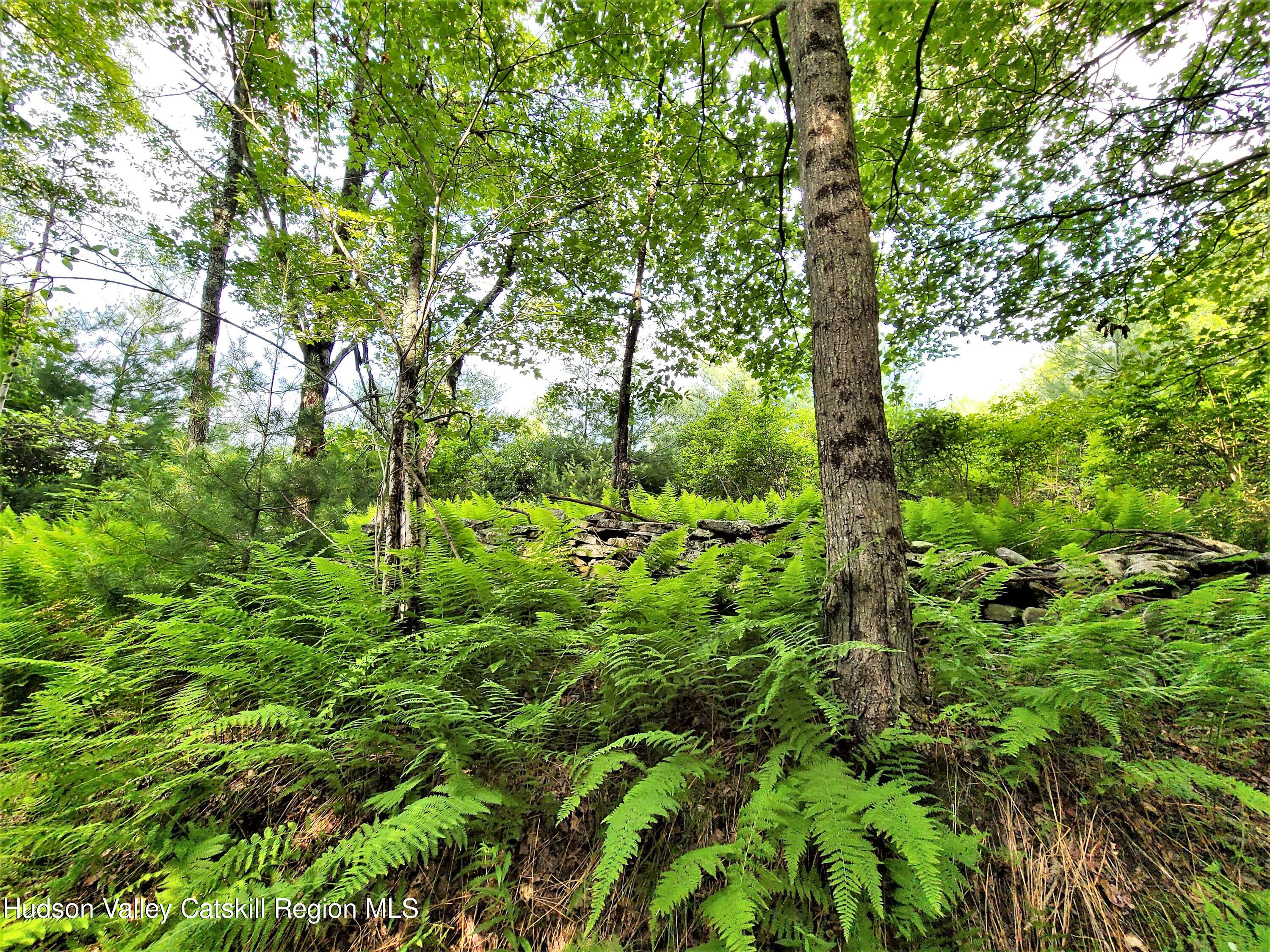 13 Mitchel Road White Lake, NY 12786 - Photo 15 of 29 a view of a lush green forest