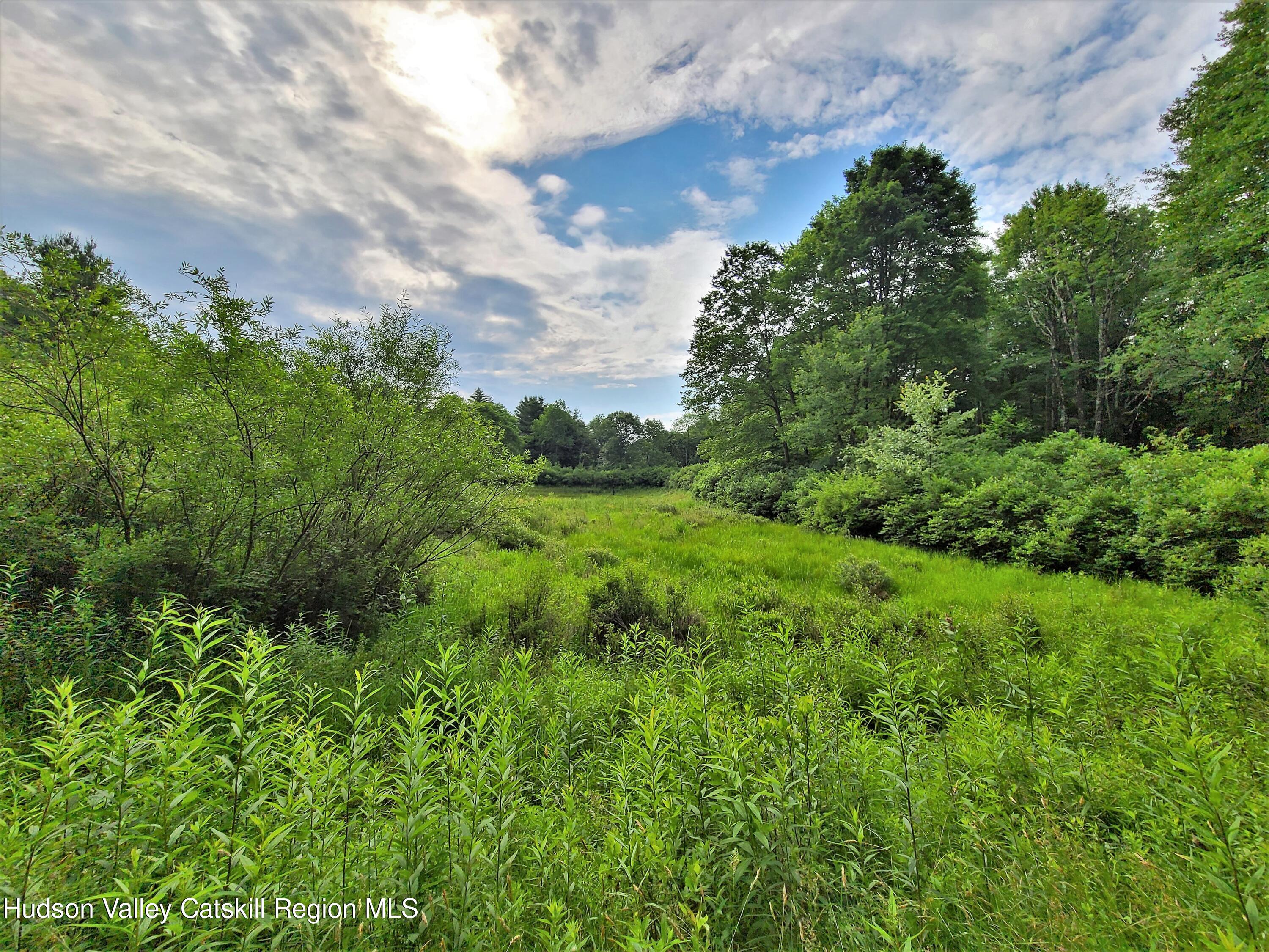 13 Mitchel Road White Lake, NY 12786 - Photo 16 of 29 a view of a lush green space