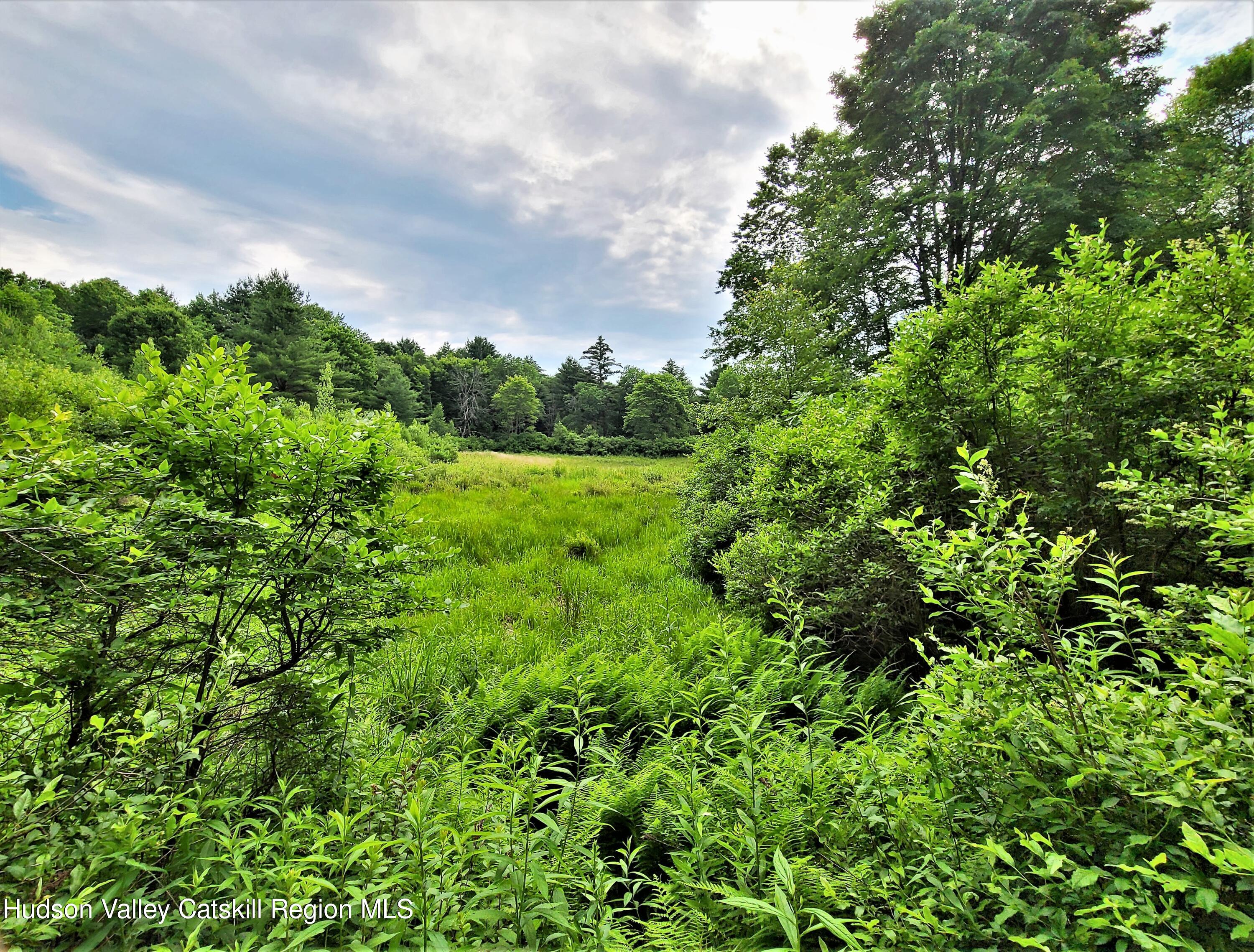 13 Mitchel Road White Lake, NY 12786 - Photo 17 of 29 a view of a lush green space