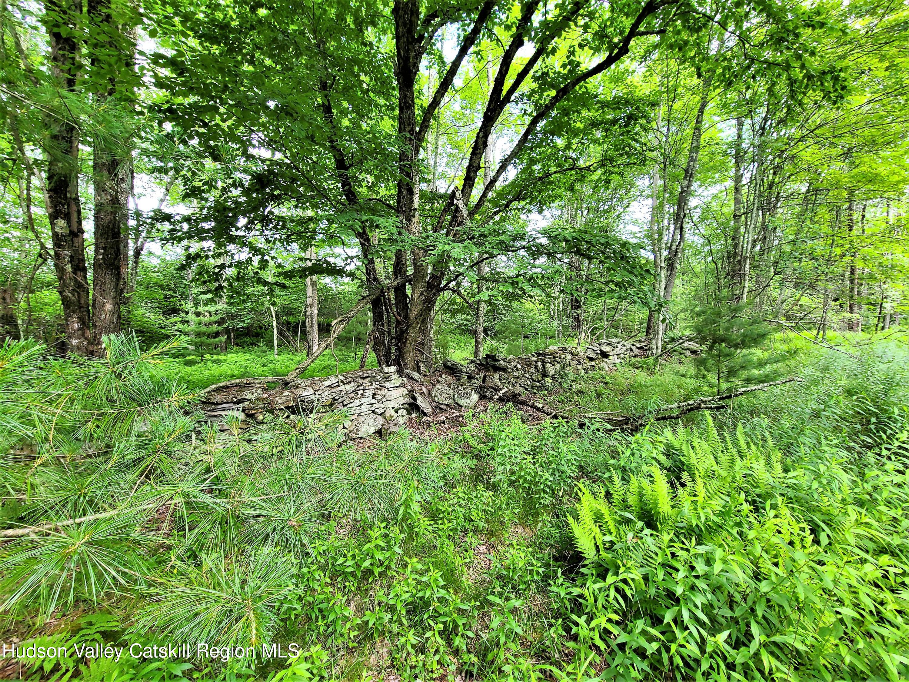 13 Mitchel Road White Lake, NY 12786 - Photo 18 of 29 a view of a lush green forest