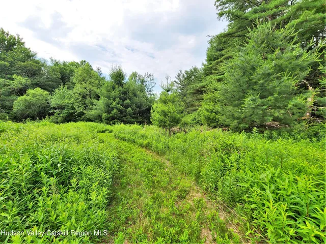 a view of a green field with lots of bushes