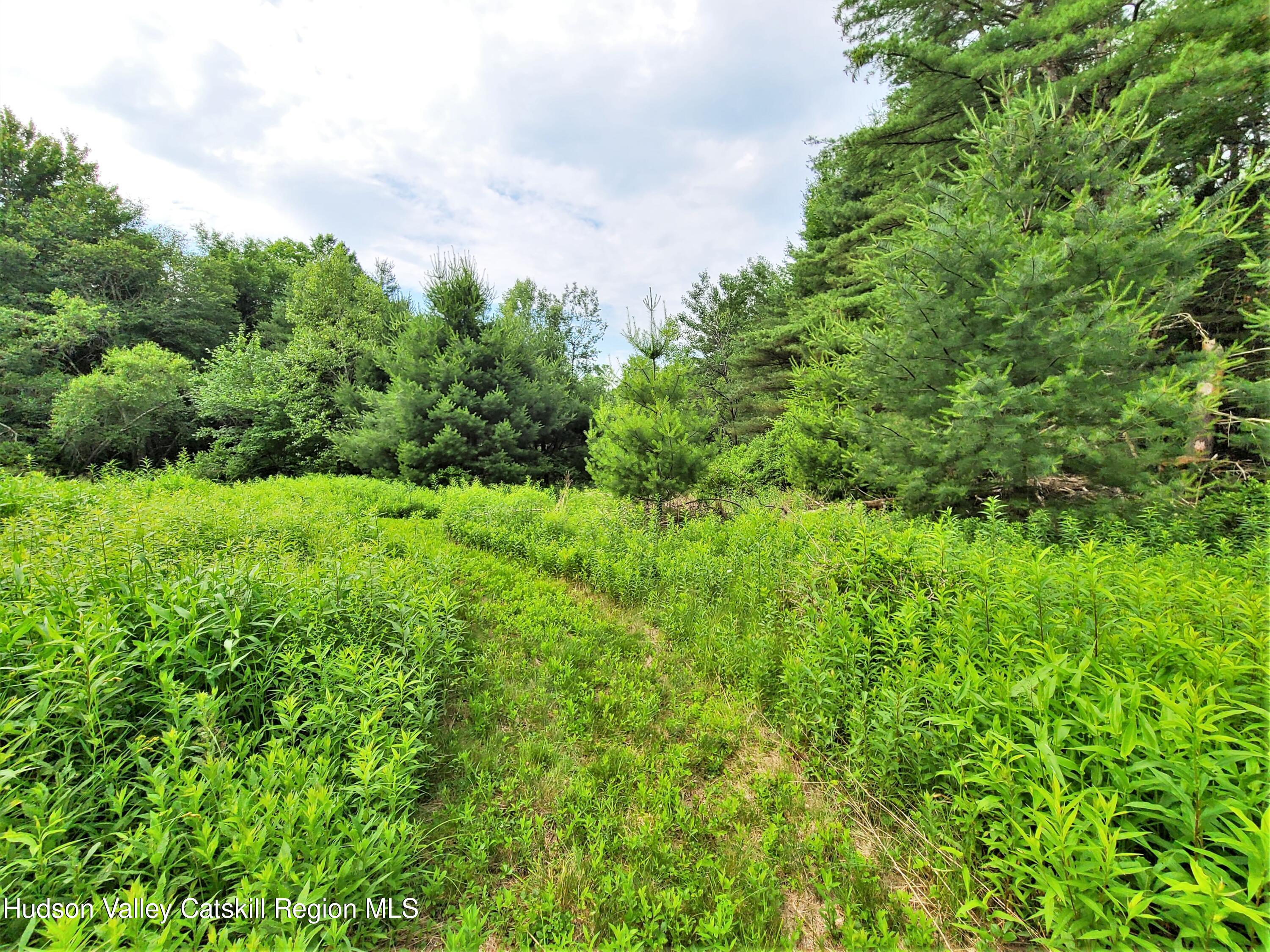13 Mitchel Road White Lake, NY 12786 - Photo 21 of 29 a view of a green field with lots of bushes