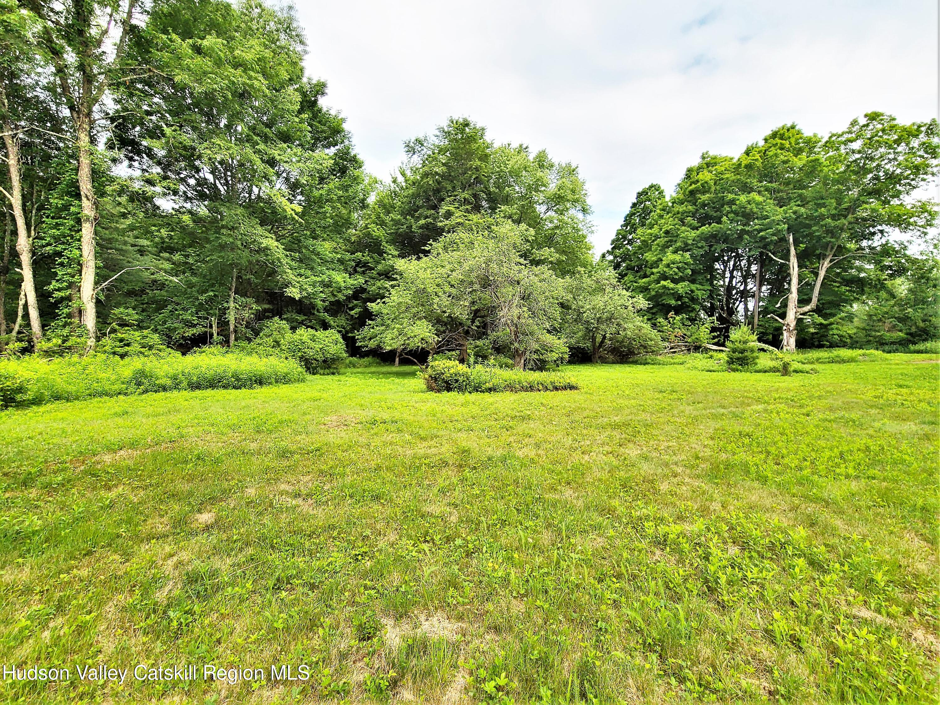 13 Mitchel Road White Lake, NY 12786 - Photo 23 of 29 a view of a grassy field with trees in the background