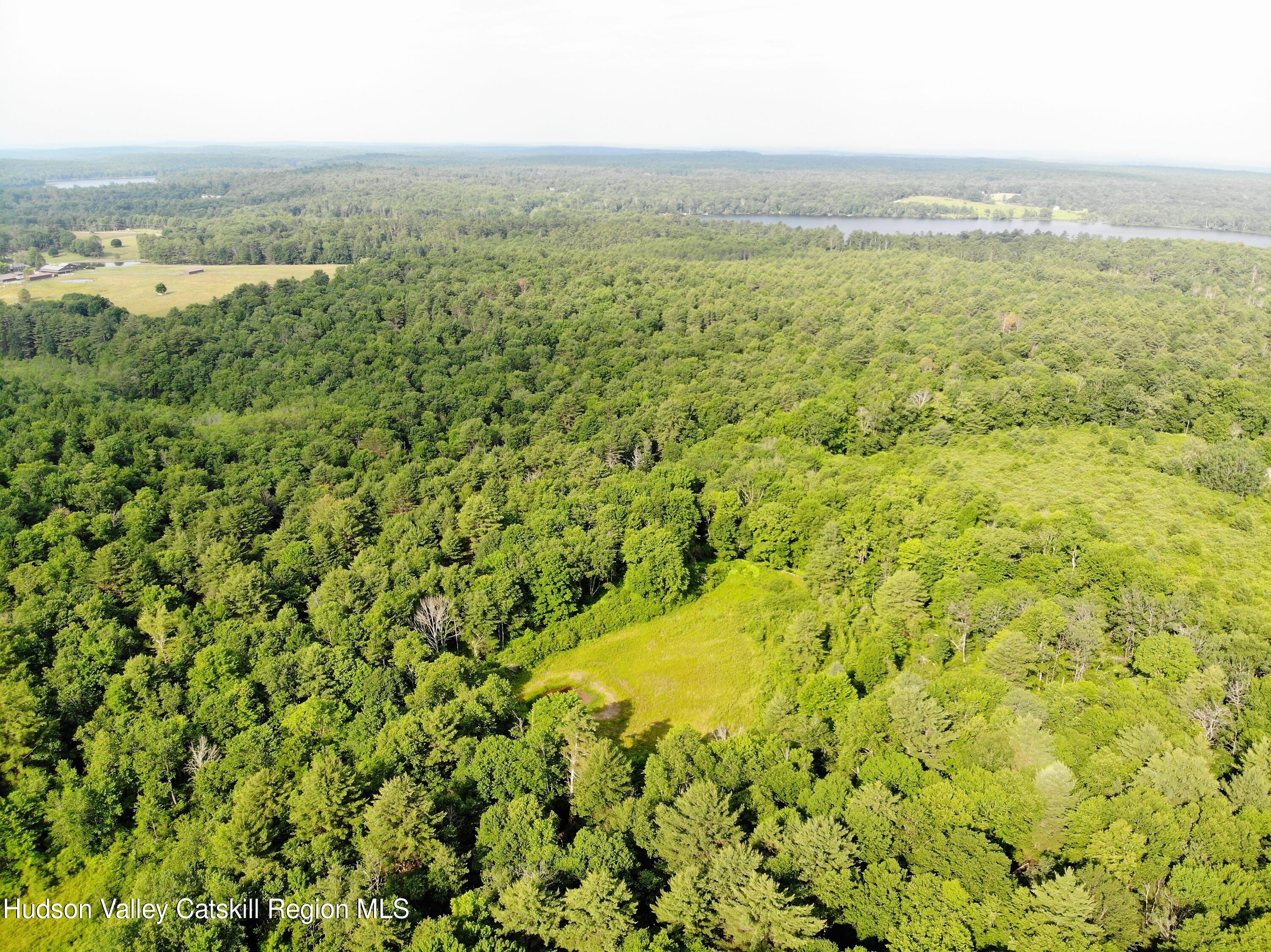 13 Mitchel Road White Lake, NY 12786 - Photo 24 of 29 an aerial view of residential houses with outdoor space and trees