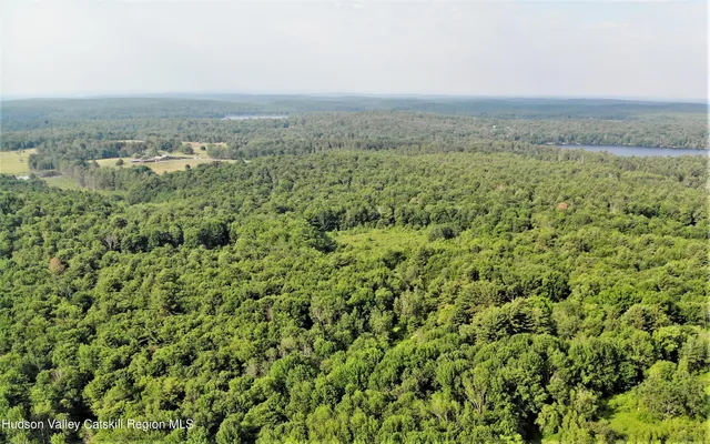 an aerial view of residential house with green space