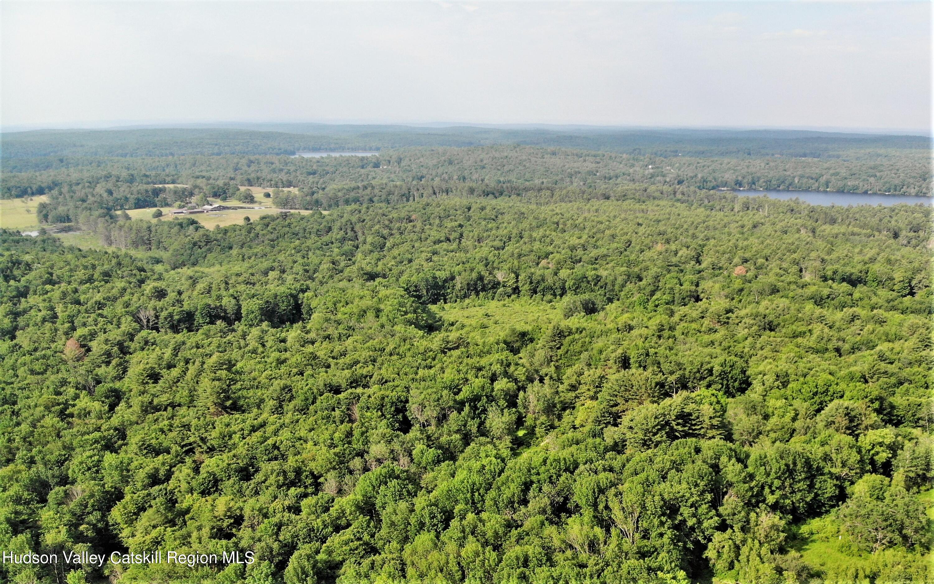 13 Mitchel Road White Lake, NY 12786 - Photo 25 of 29 an aerial view of residential house with green space