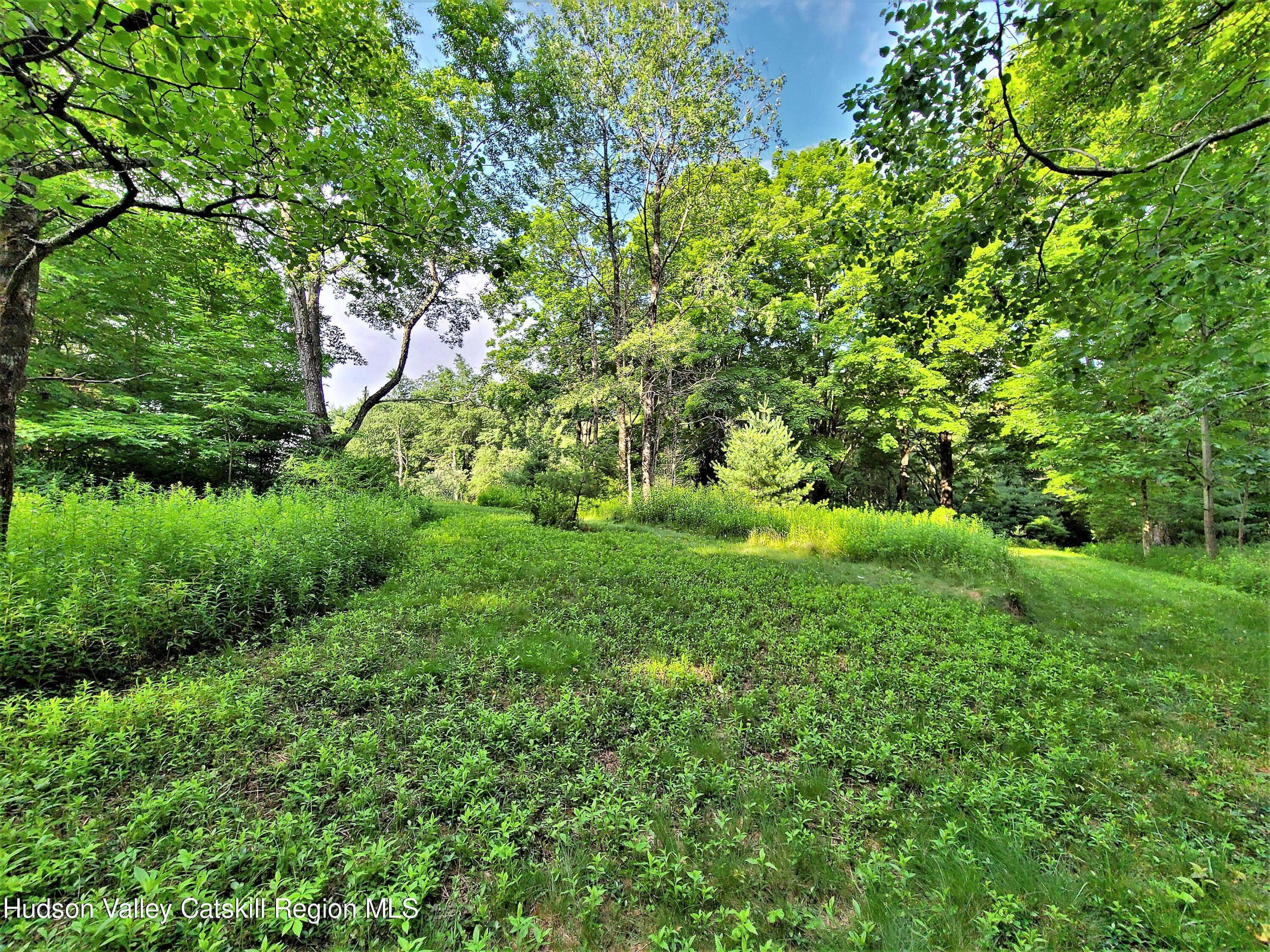 13 Mitchel Road White Lake, NY 12786 - Photo 6 of 29 a view of a lush green space