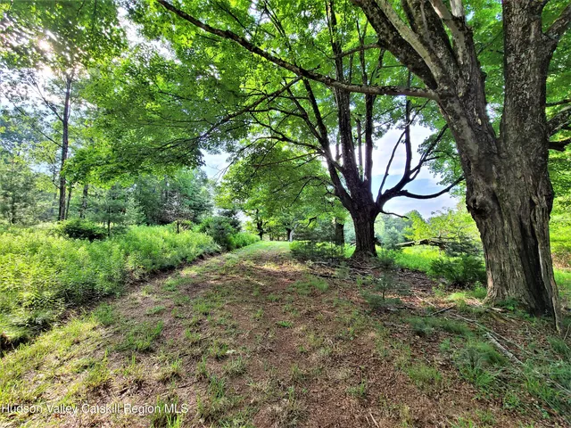 a view of a yard with large trees
