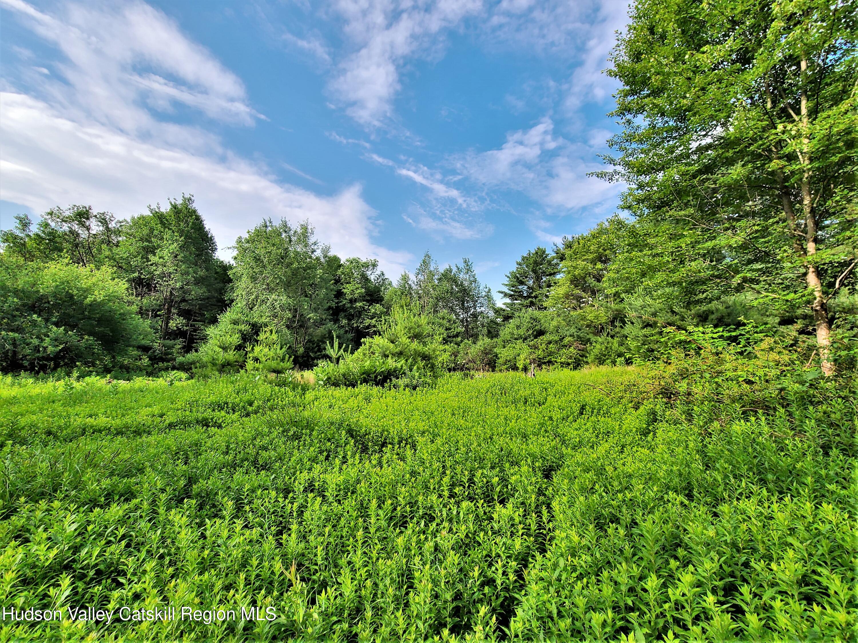 13 Mitchel Road White Lake, NY 12786 - Photo 9 of 29 a view of a large yard with lots of green space