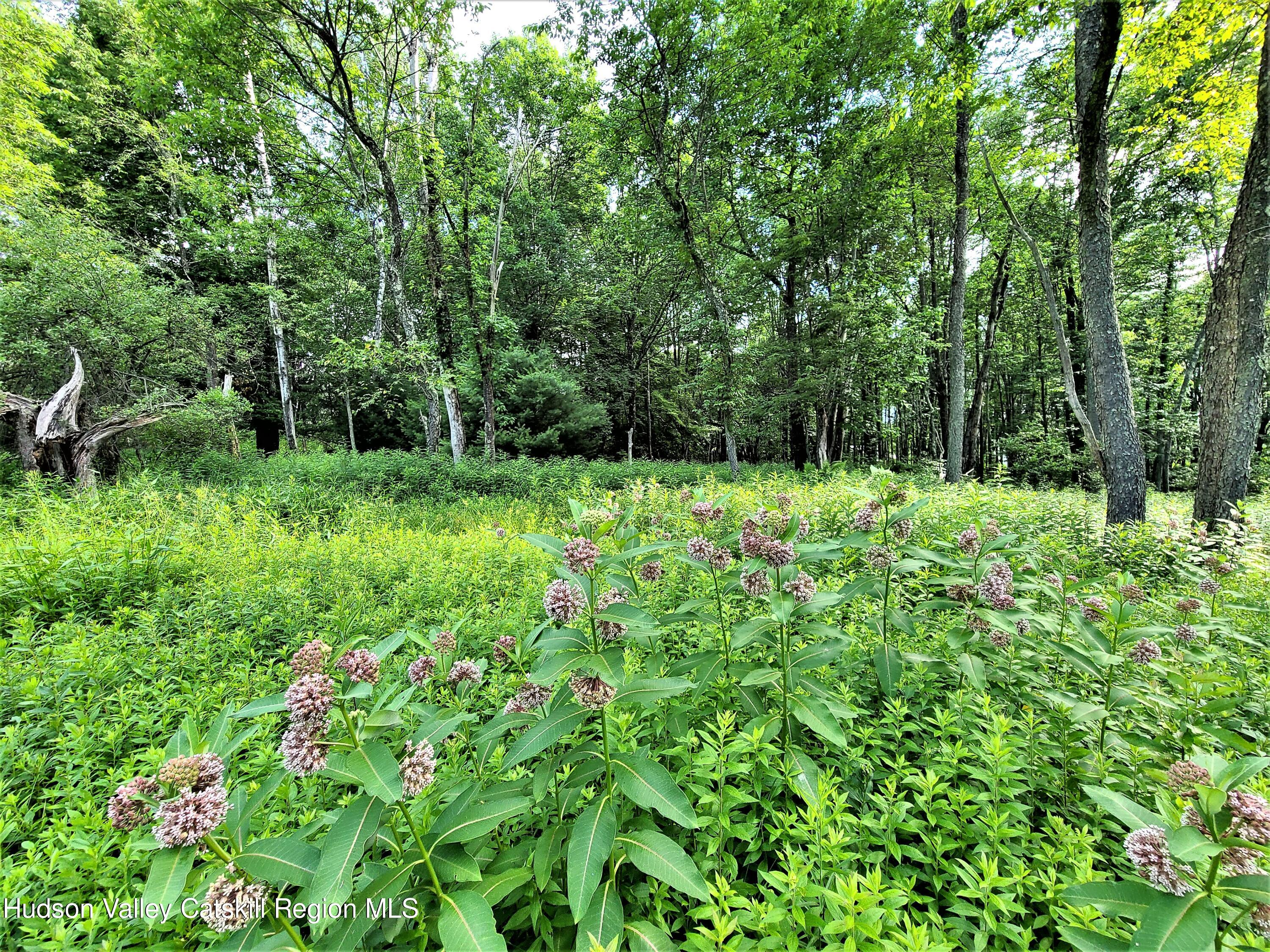 13 Mitchel Road White Lake, NY 12786 - Photo 10 of 29 a view of green field with a tree in the background