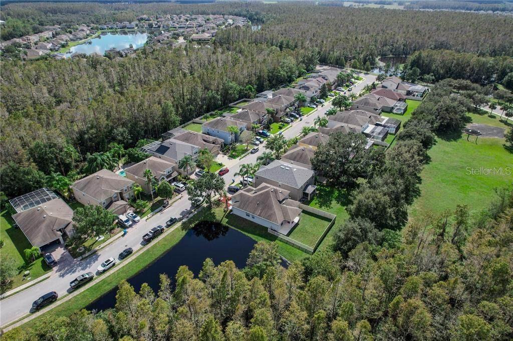 12847 Solola Way Trinity, FL 34655 - Photo 3 of 39 an aerial view of a house with a yard