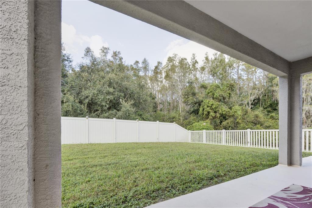 12847 Solola Way Trinity, FL 34655 - Photo 38 of 39 a view of outdoor space and yard