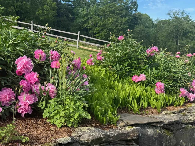 $1,750,000 | 699 Spear Cemetery Road, Reading, VT 05062