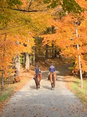 $1,750,000 | 699 Spear Cemetery Road, Reading, VT 05062