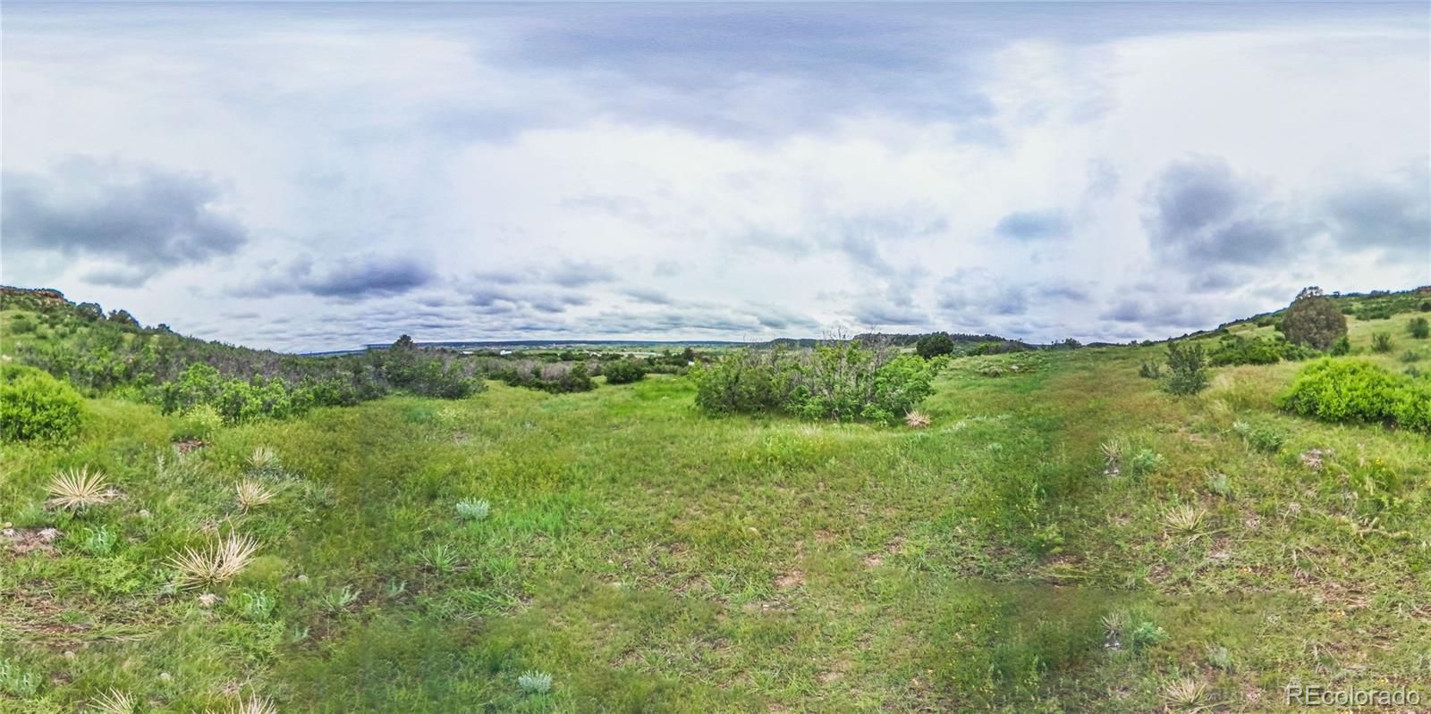 86 Highway 86 Franktown, CO 80116 - Photo 15 of 30 a view of a pathway both side of grassy field with shrub