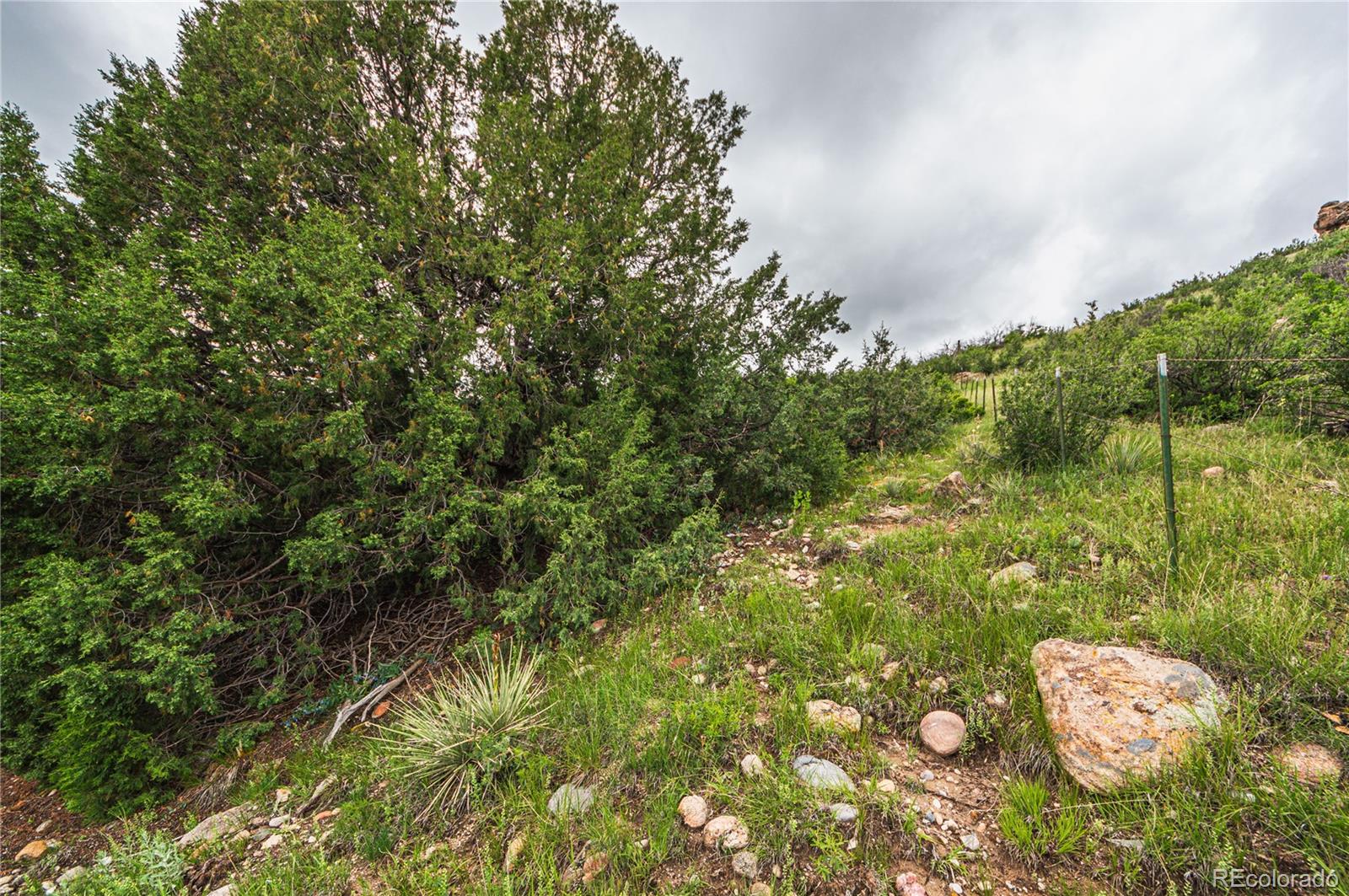 86 Highway 86 Franktown, CO 80116 - Photo 19 of 30