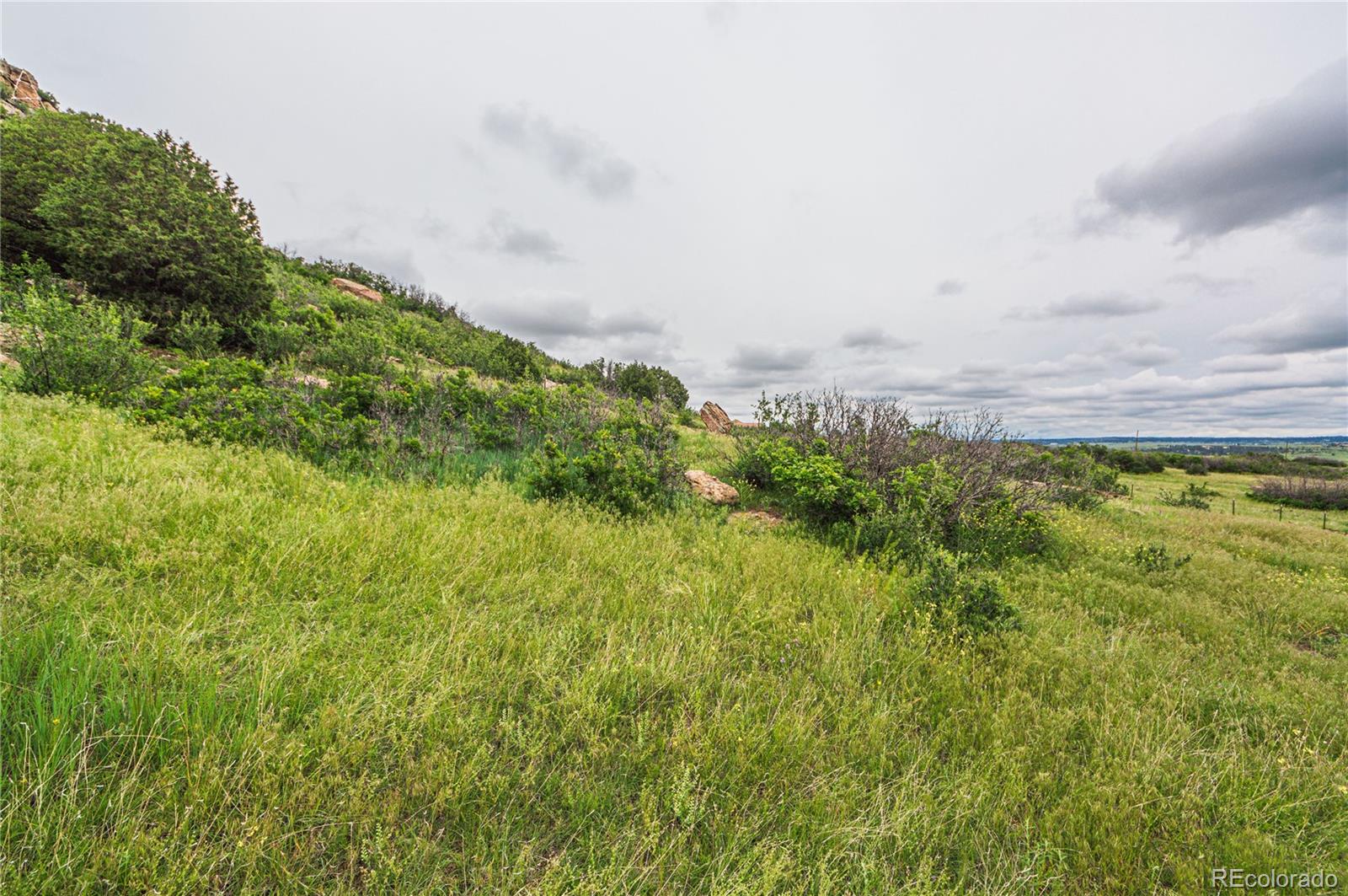 86 Highway 86 Franktown, CO 80116 - Photo 20 of 30 a view of a large garden with plants and large trees