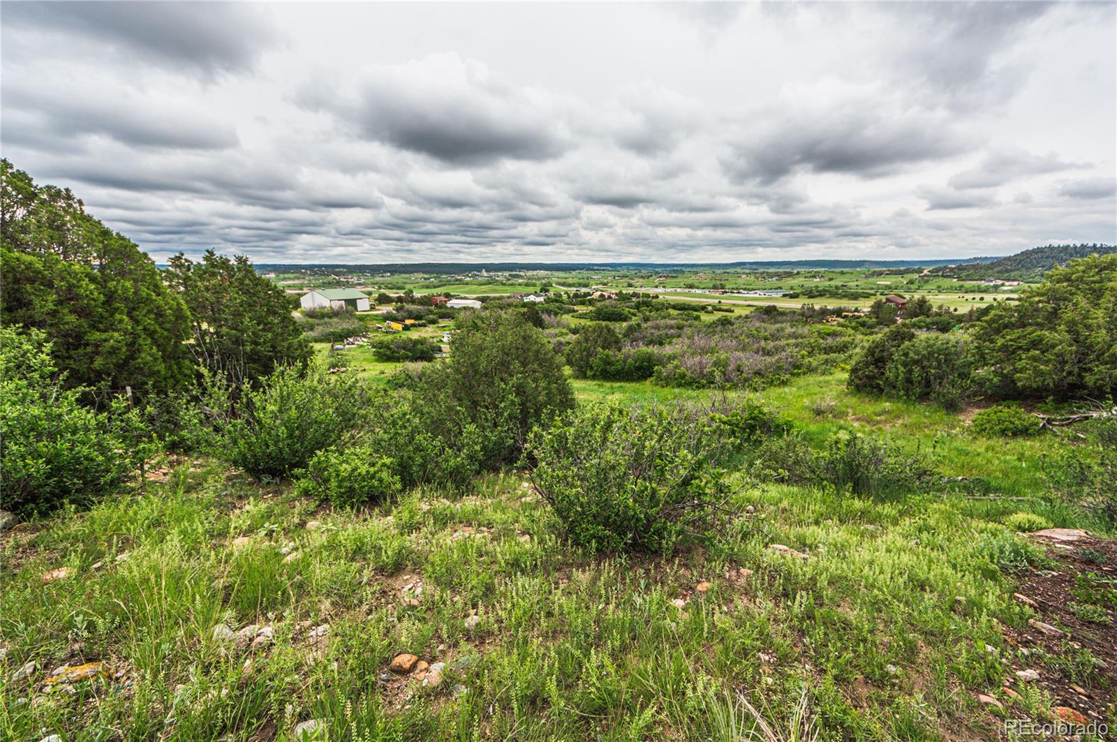 86 Highway 86 Franktown, CO 80116 - Photo 2 of 30 a view of a green field with lots of bushes