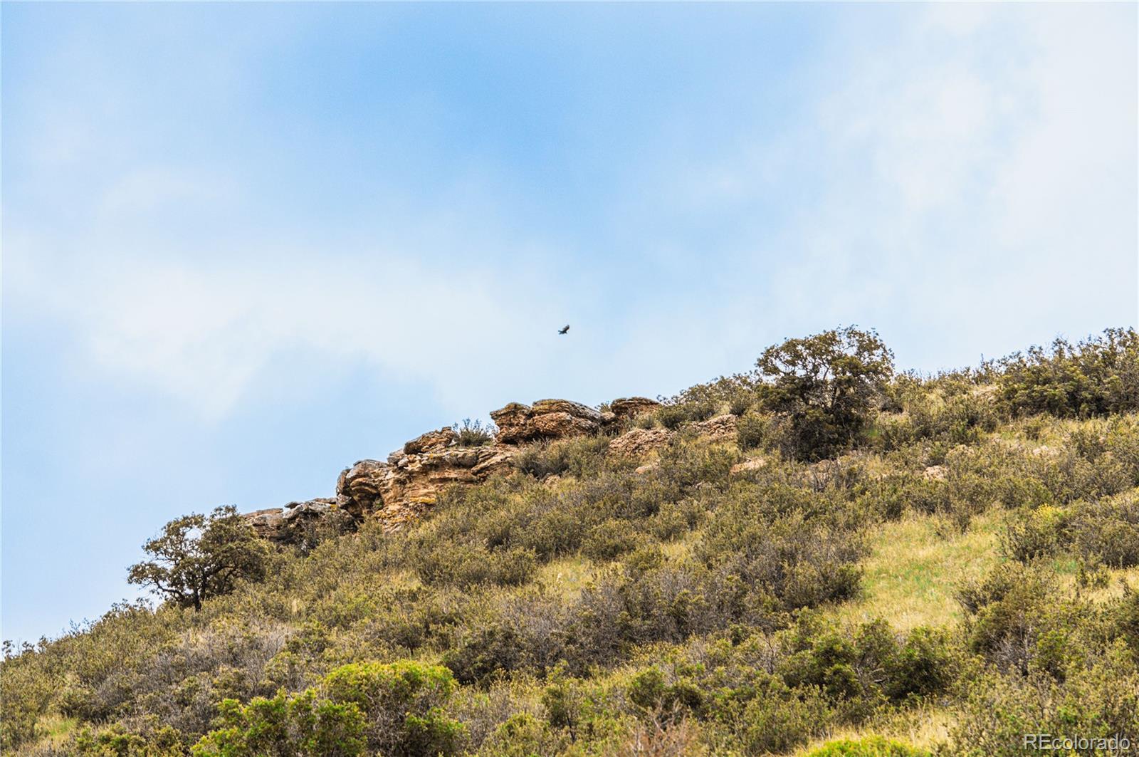 86 Highway 86 Franktown, CO 80116 - Photo 23 of 30 a close up of a snow on a field