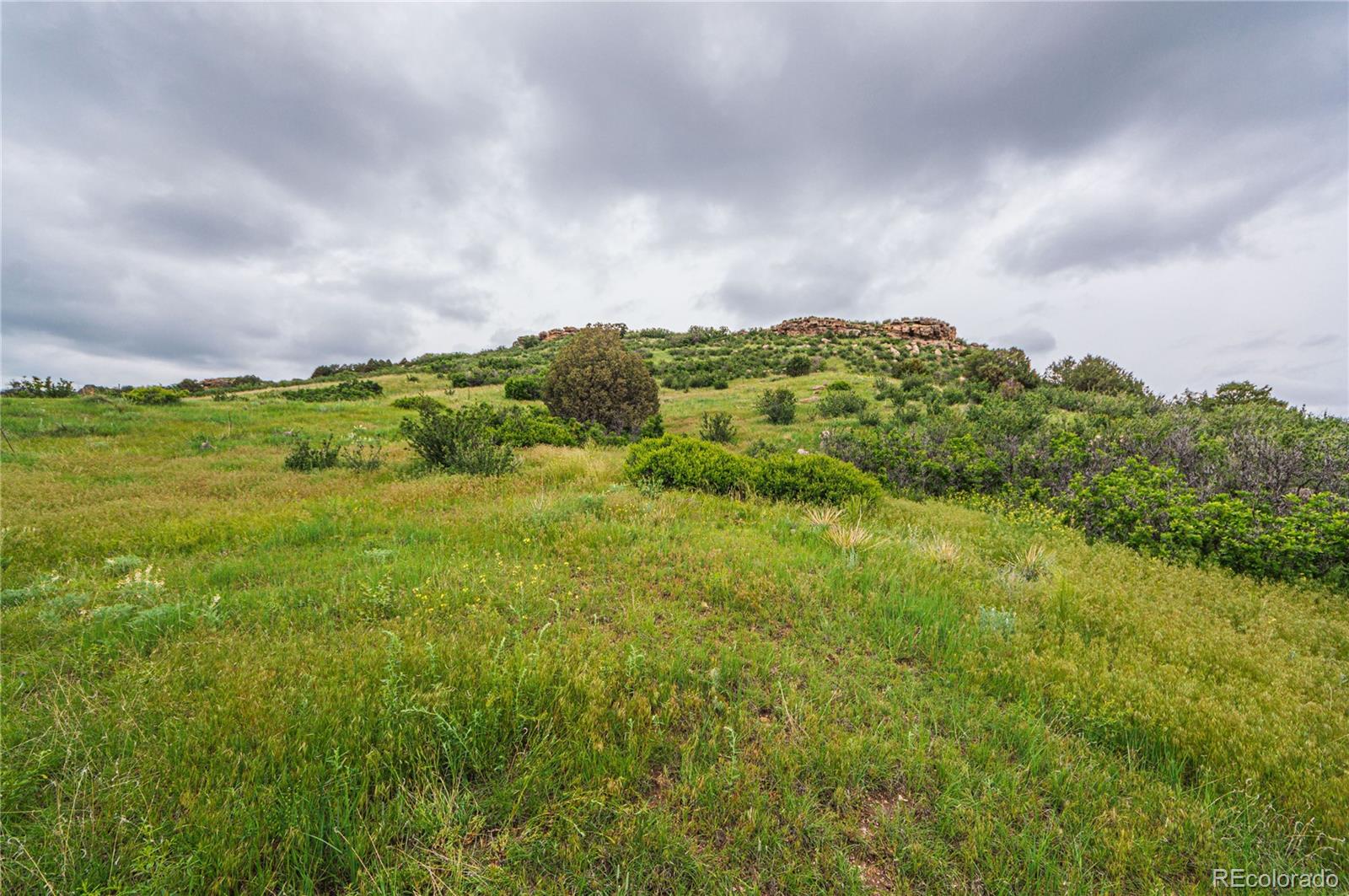 86 Highway 86 Franktown, CO 80116 - Photo 24 of 30 a view of a big yard with lots of green space