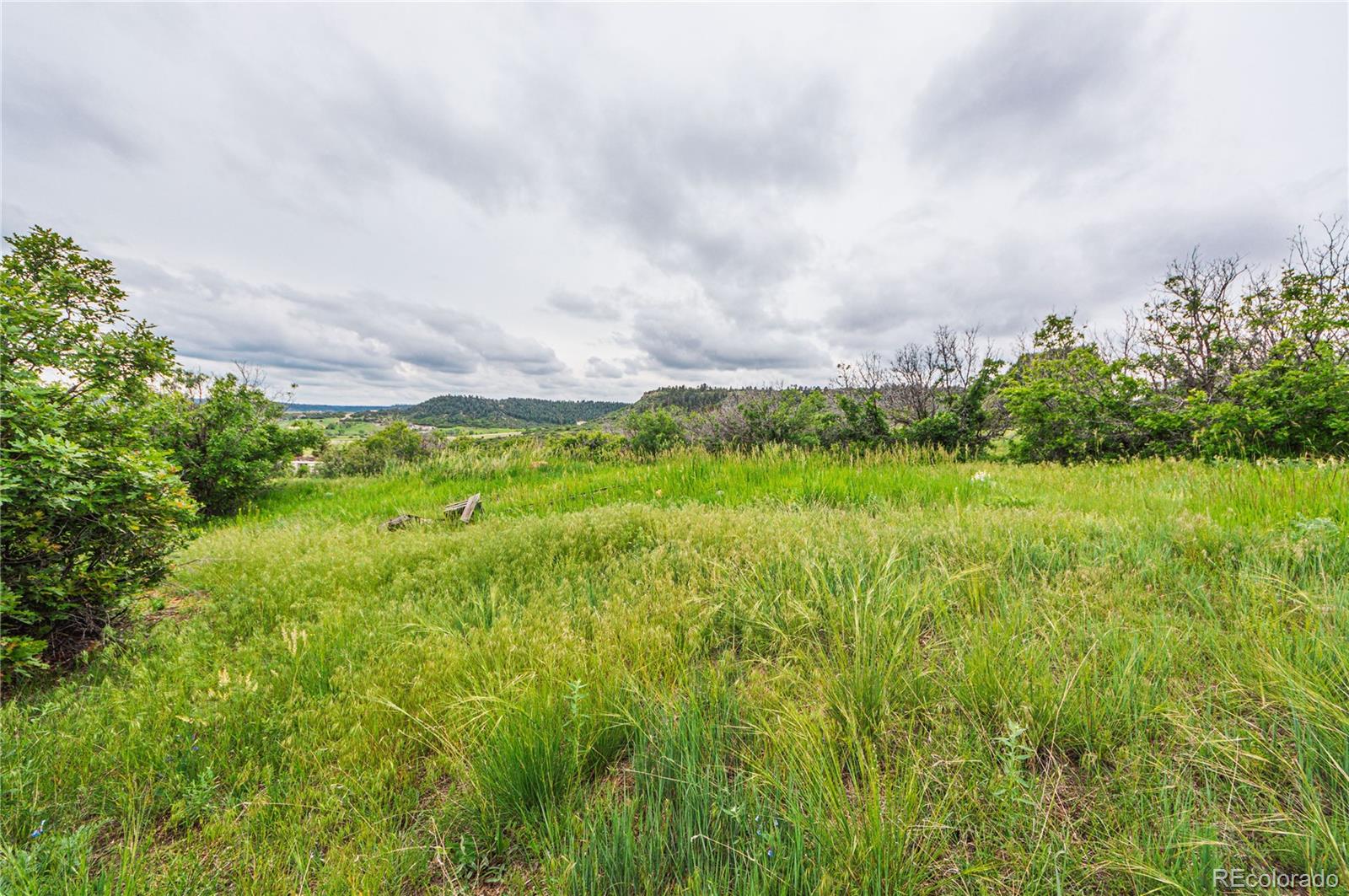 86 Highway 86 Franktown, CO 80116 - Photo 25 of 30 a view of a big yard with plants and a garden