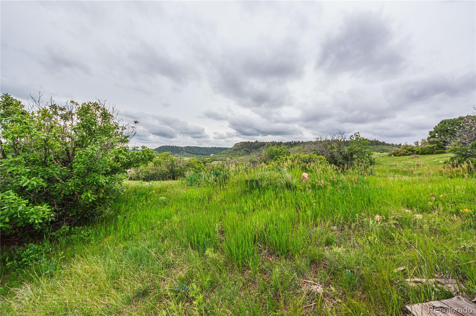 86 Highway 86 Franktown, CO 80116 - Photo 26 of 30 a view of a green field with plants and large trees