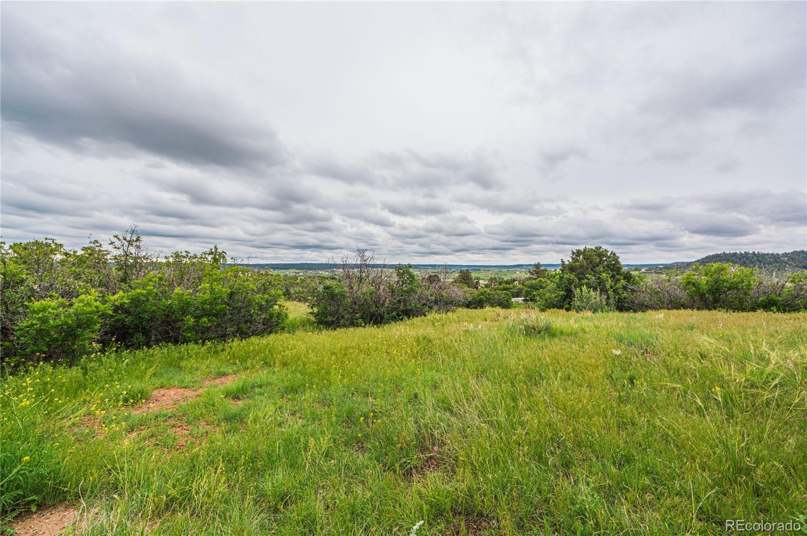 86 Highway 86 Franktown, CO 80116 - Photo 27 of 30 a view of a large yard with plants and large trees