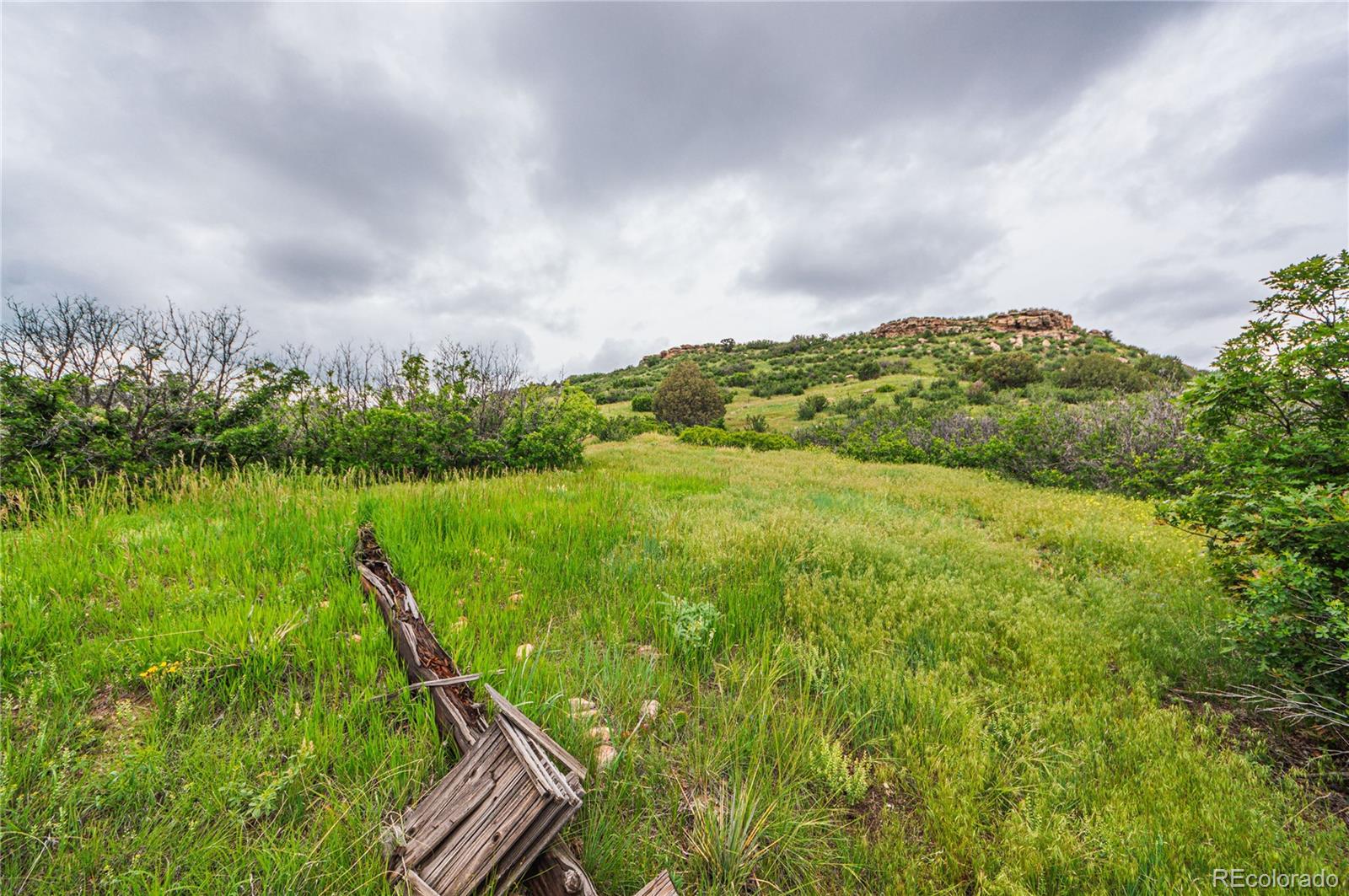 86 Highway 86 Franktown, CO 80116 - Photo 4 of 30 a view of a lake with a yard and large trees