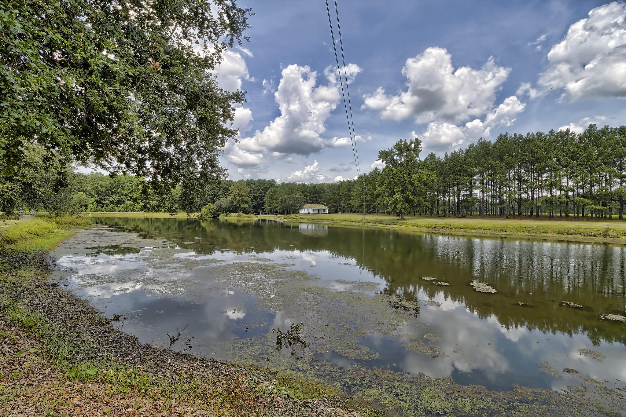1704 Midway Road Elloree, SC 29047 - Photo 11 of 73 17504_28804_595000