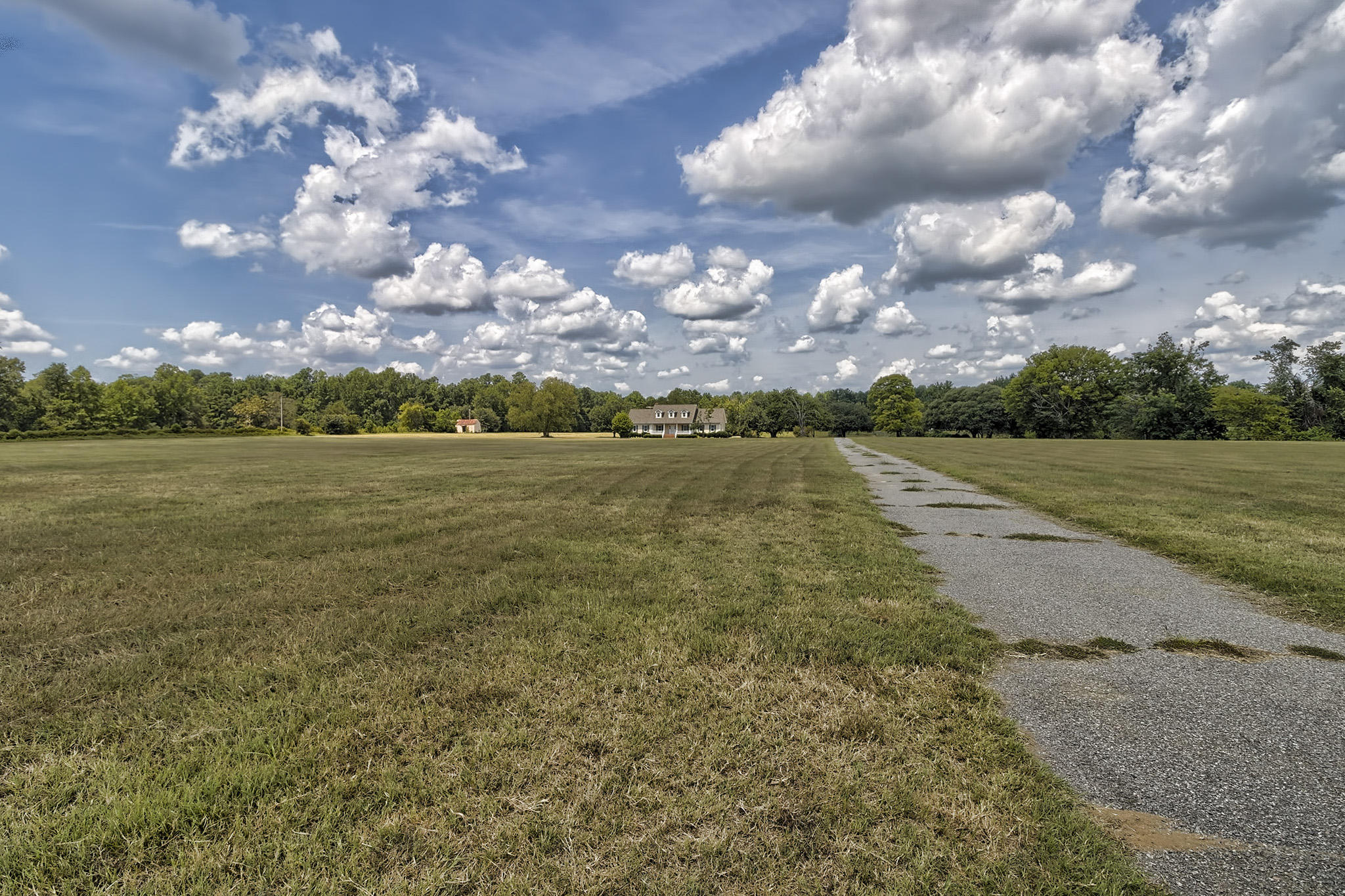 1704 Midway Road Elloree, SC 29047 - Photo 5 of 73 17504_28804_594994