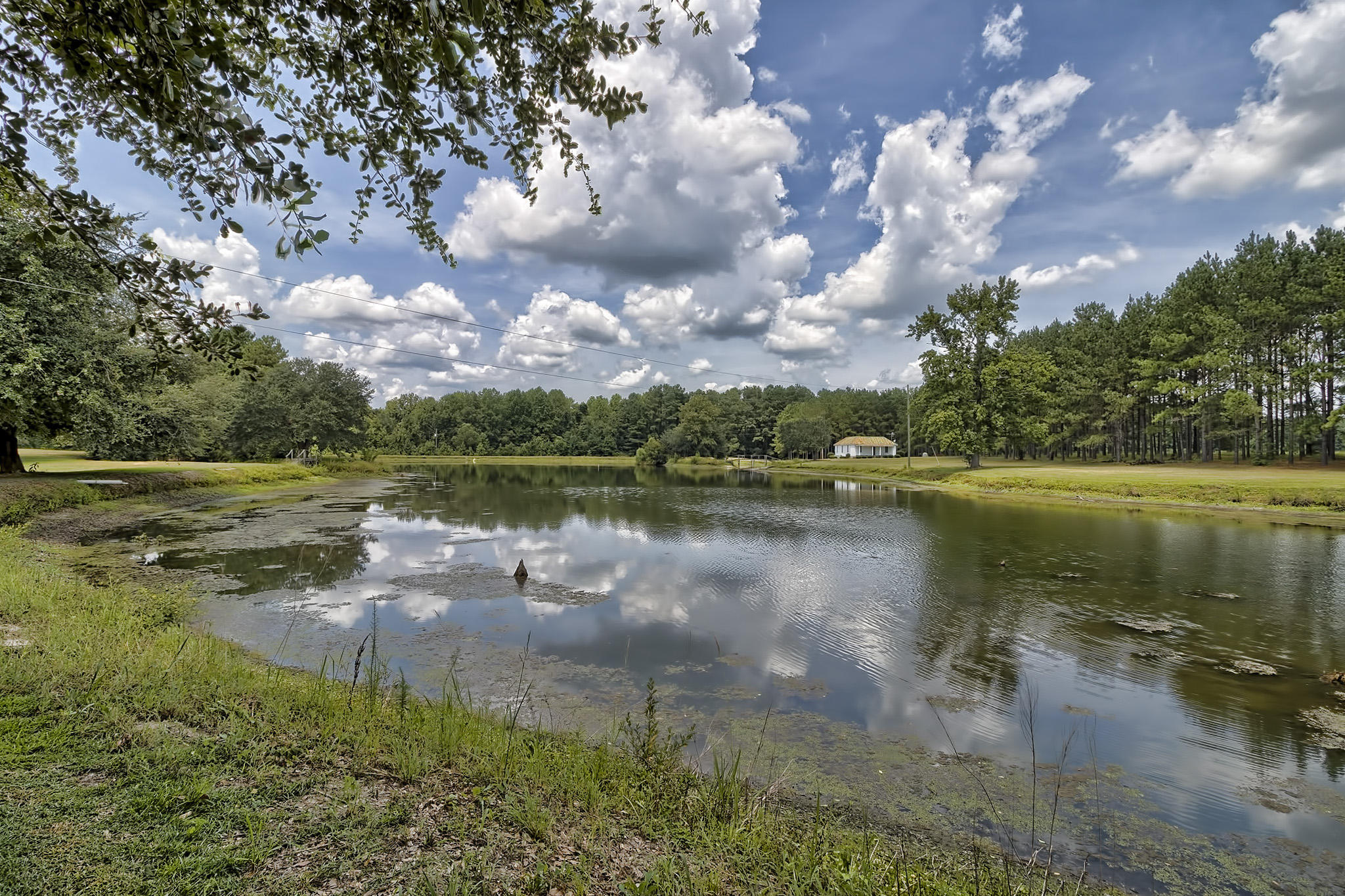1704 Midway Road Elloree, SC 29047 - Photo 10 of 73 17504_28804_594999