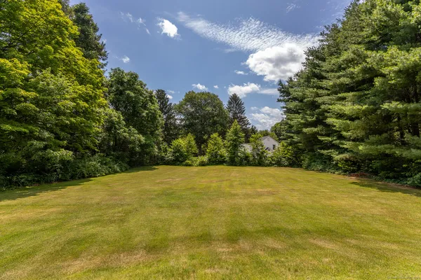 a view of large trees with an outdoor space