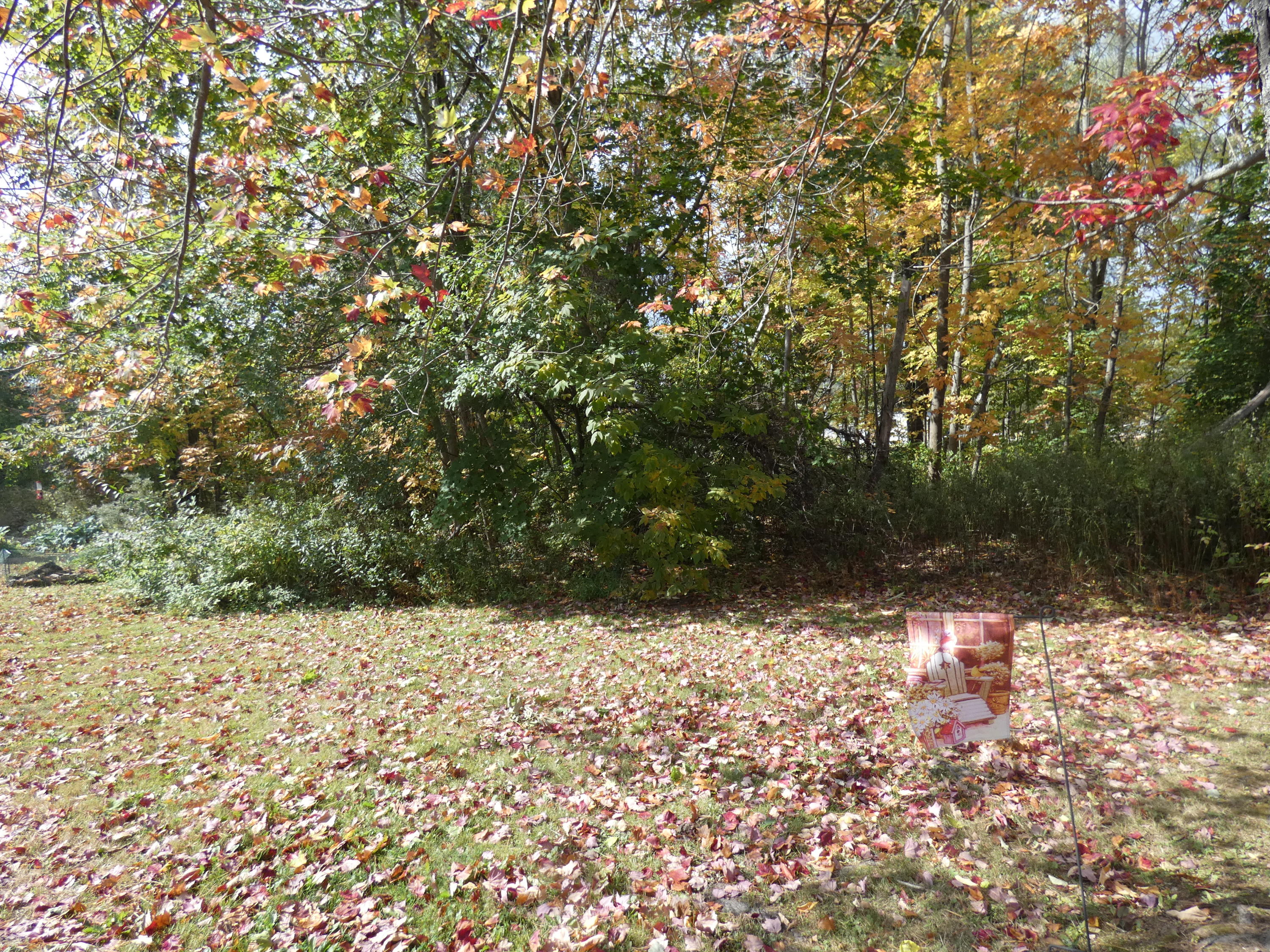 8 Villa Road, Unit 8 Westbrook, ME 04092 - Photo 26 of 28 Yard