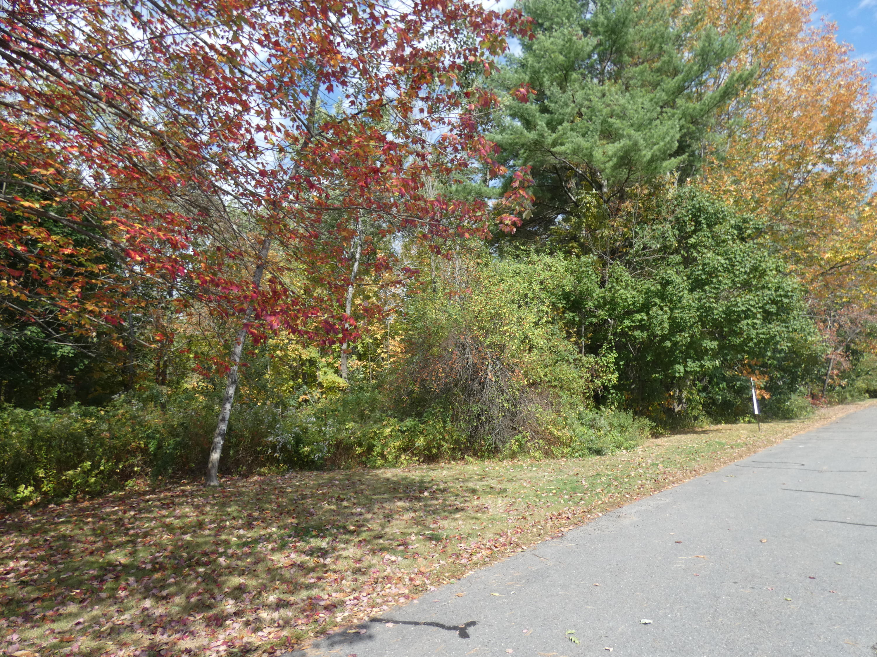 8 Villa Road, Unit 8 Westbrook, ME 04092 - Photo 27 of 28 Yard (2)